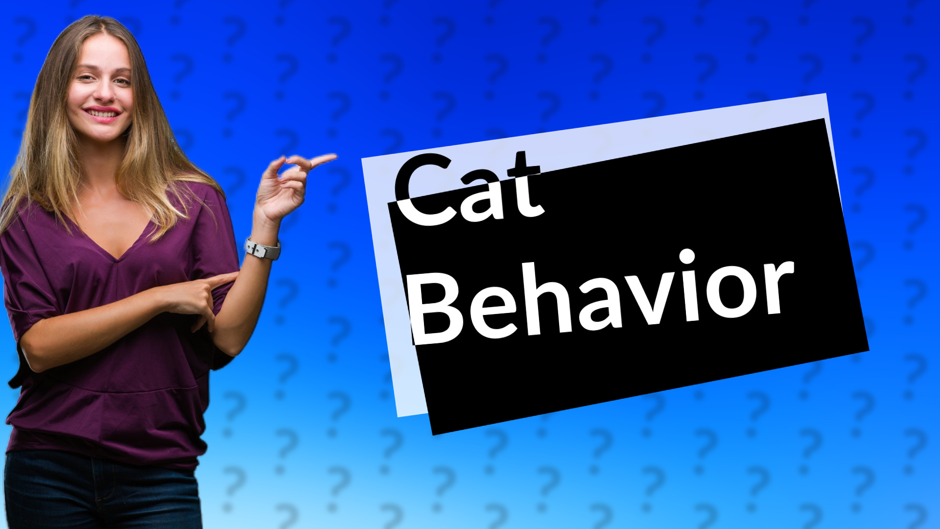 Cat Behavior