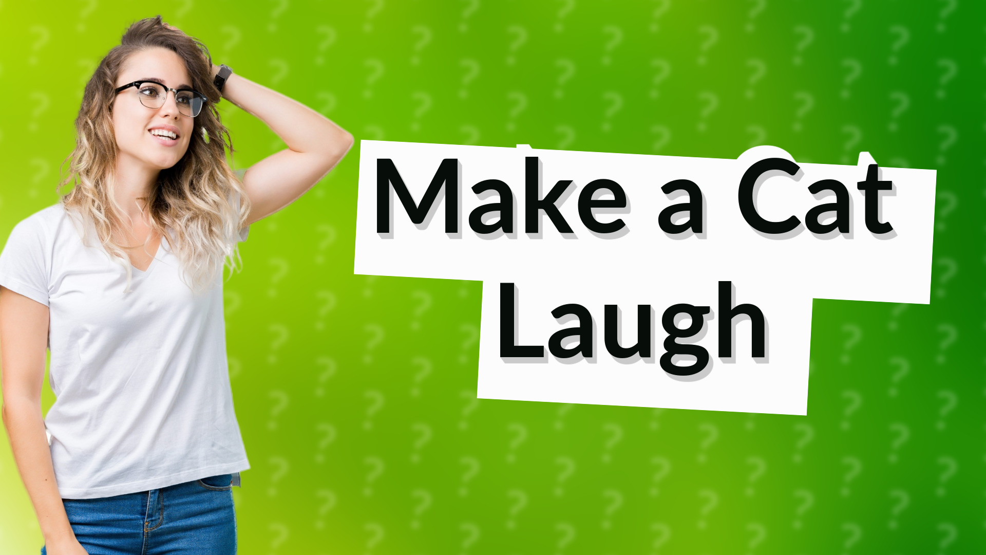 Make a Cat Laugh