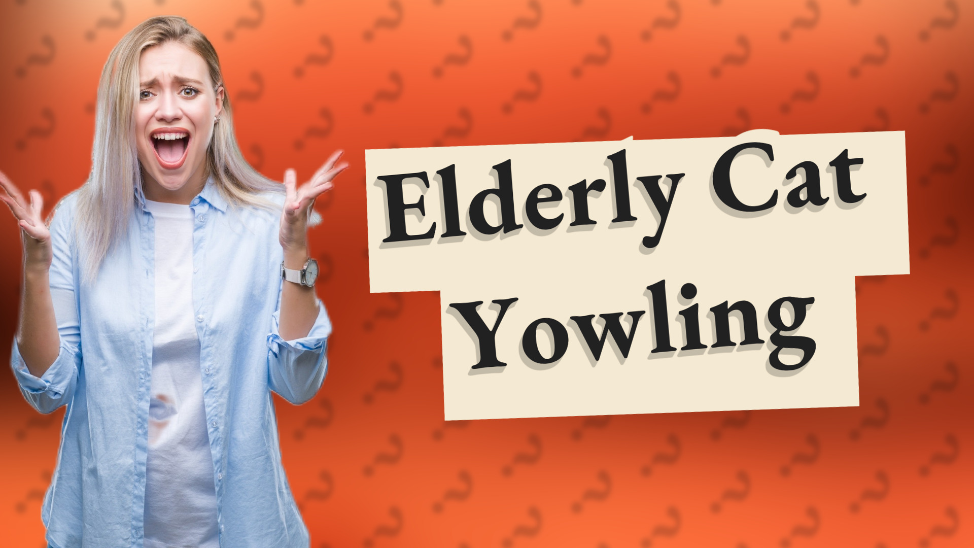 Elderly Cat Yowling