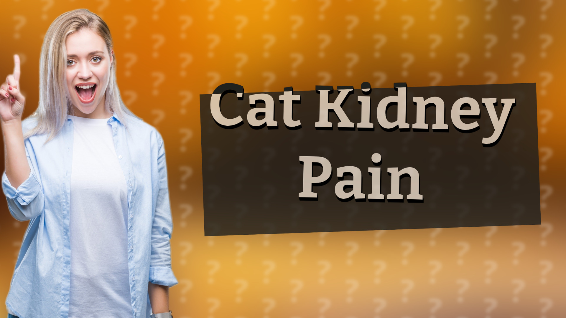 Cat Kidney Pain