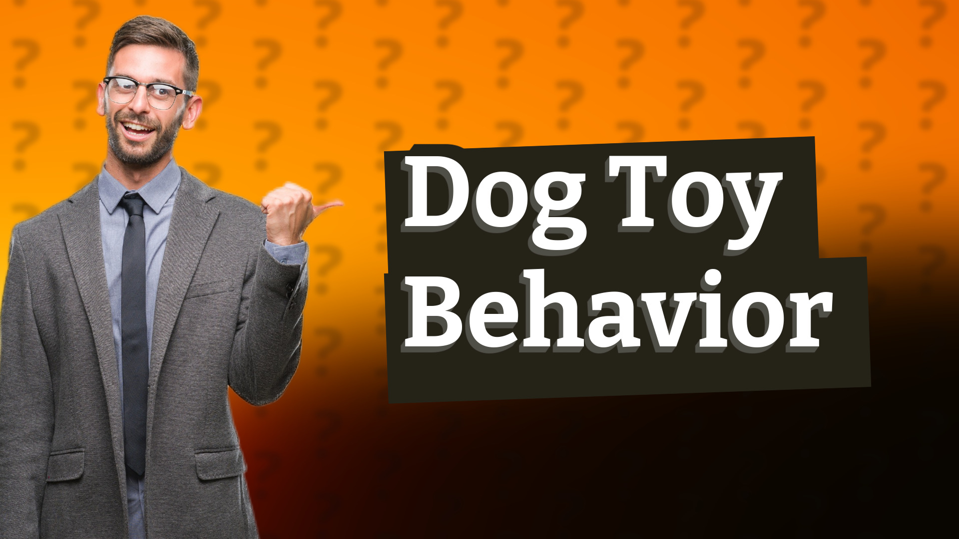 Dog Toy Behavior