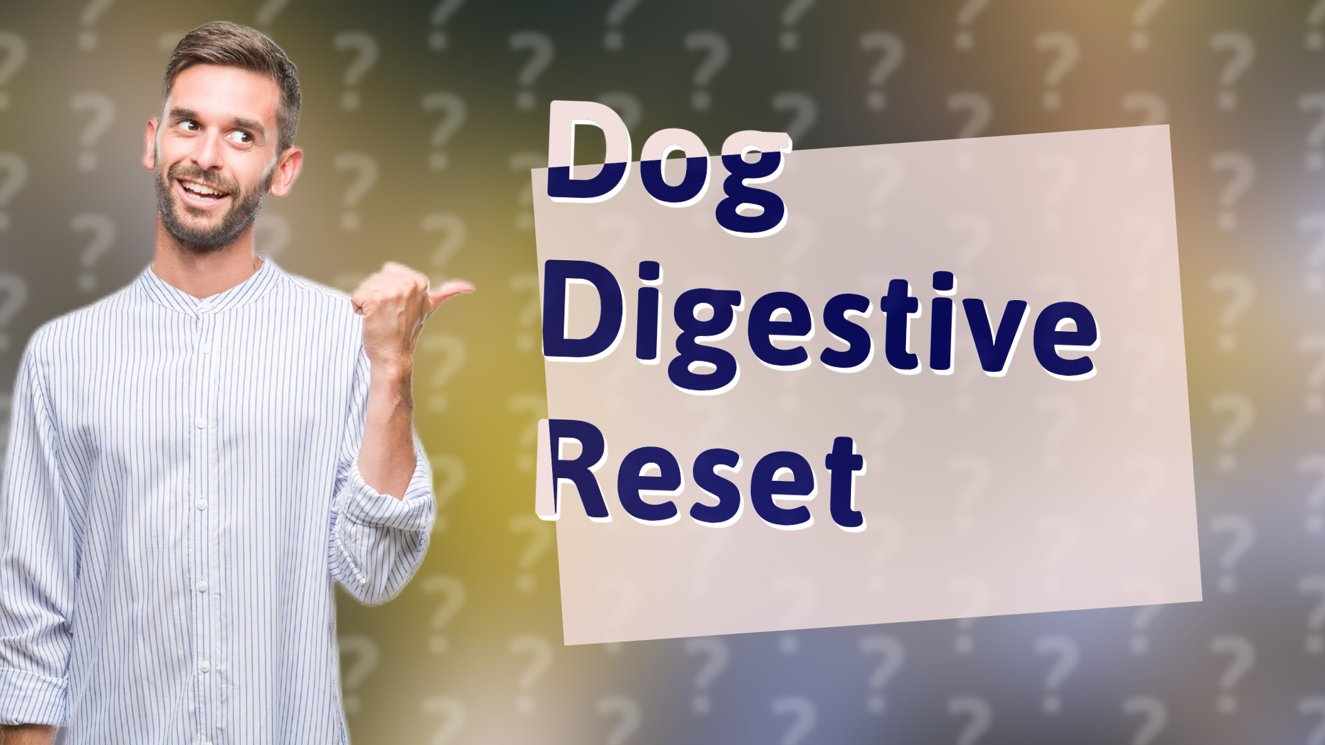 Dog Digestive Reset