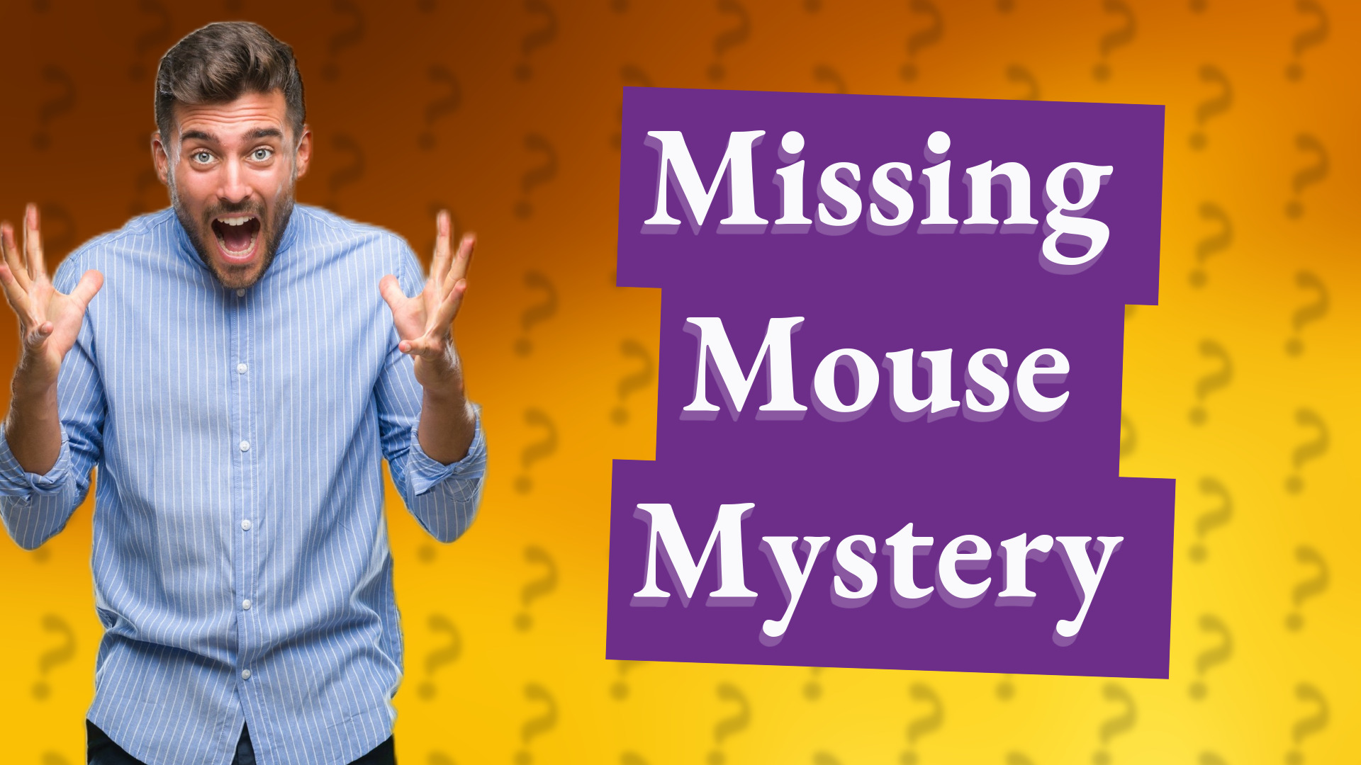 Missing Mouse Mystery