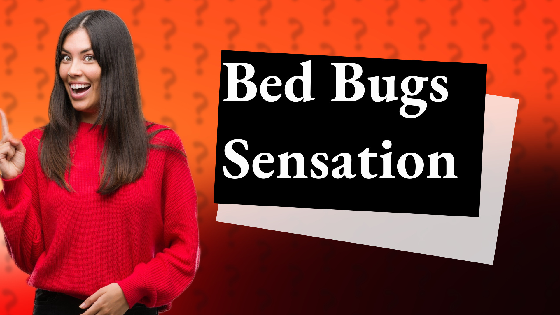 Bed Bugs Sensation