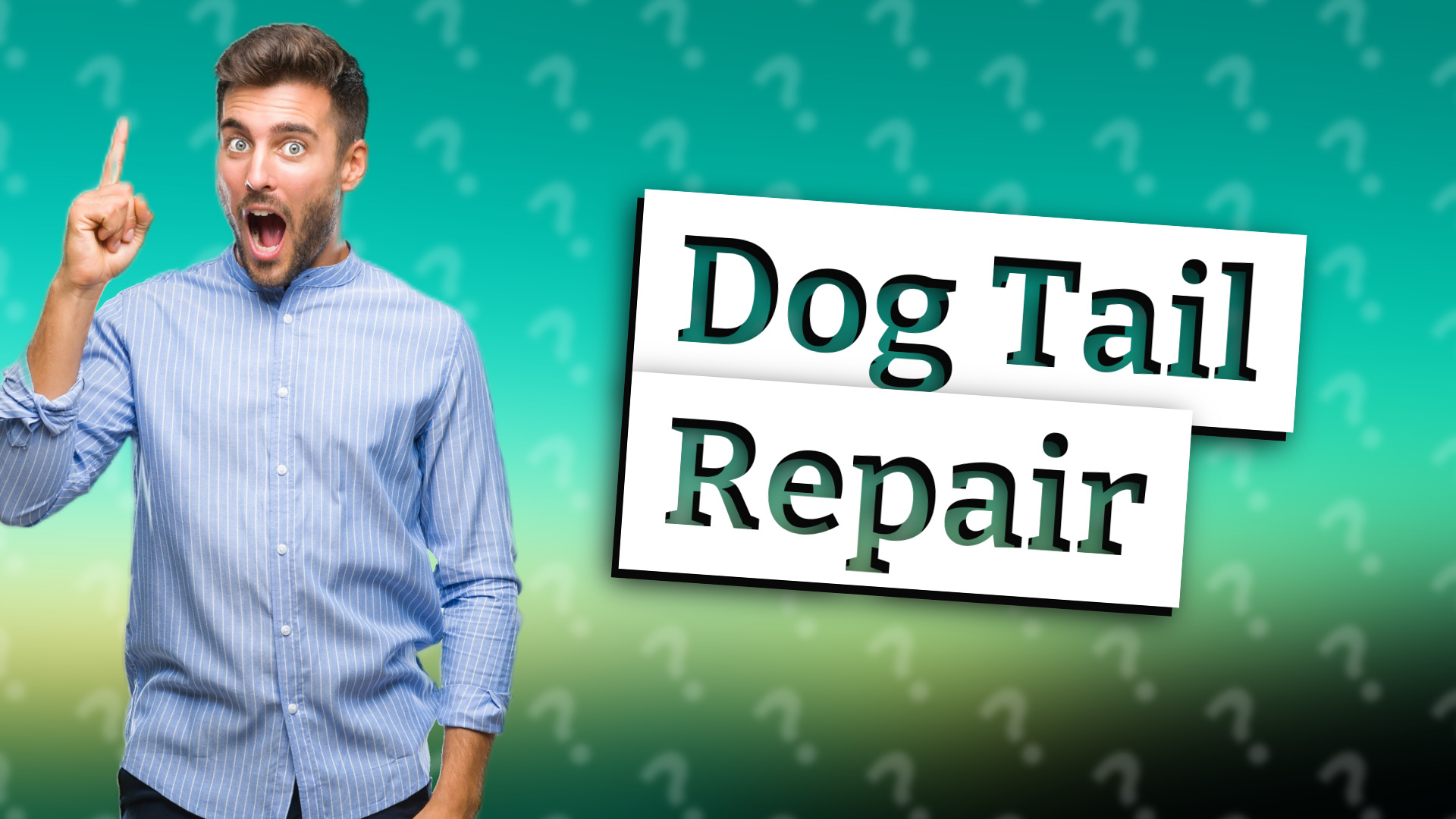 Dog Tail Repair