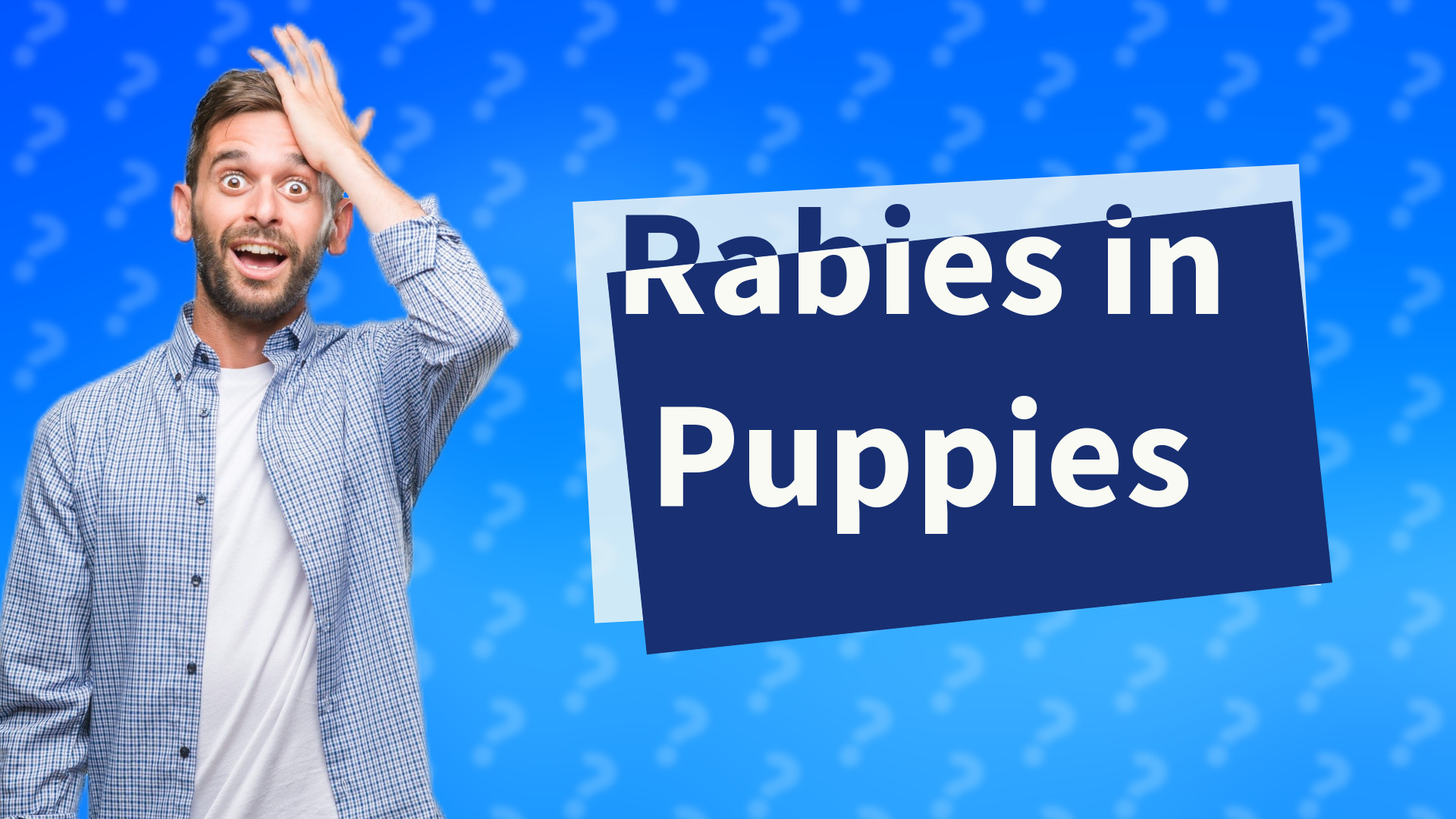 Rabies in Puppies