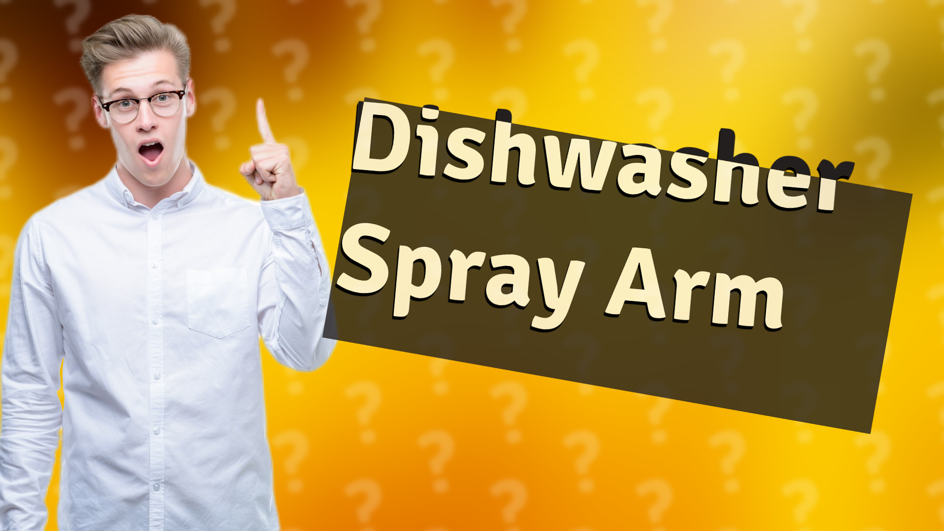 Dishwasher Spray Arm