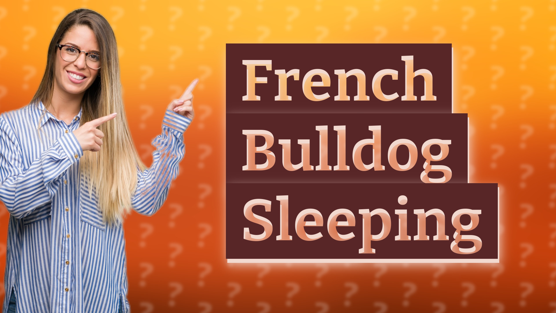 French Bulldog Sleeping