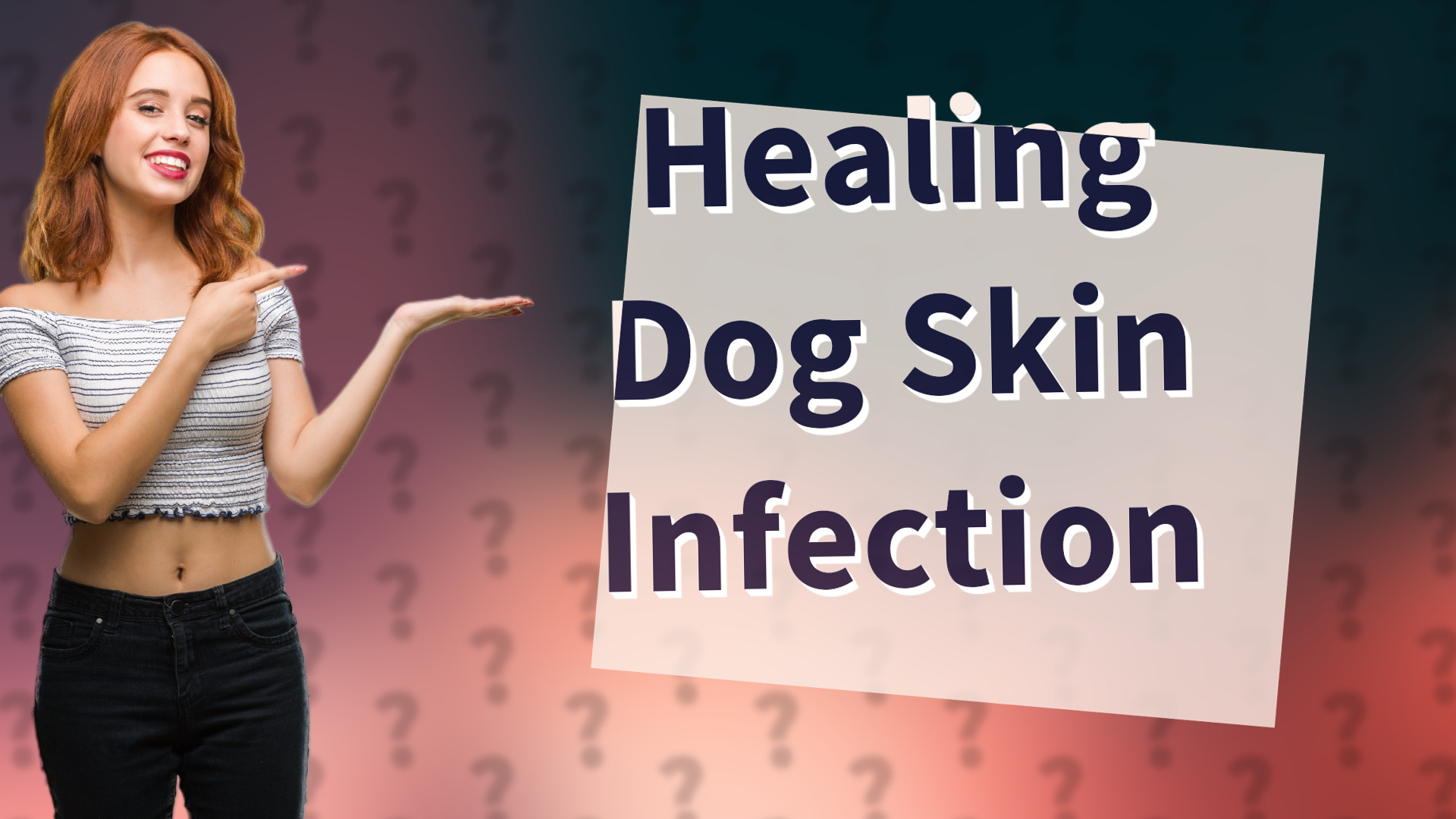 Healing Dog Skin Infection