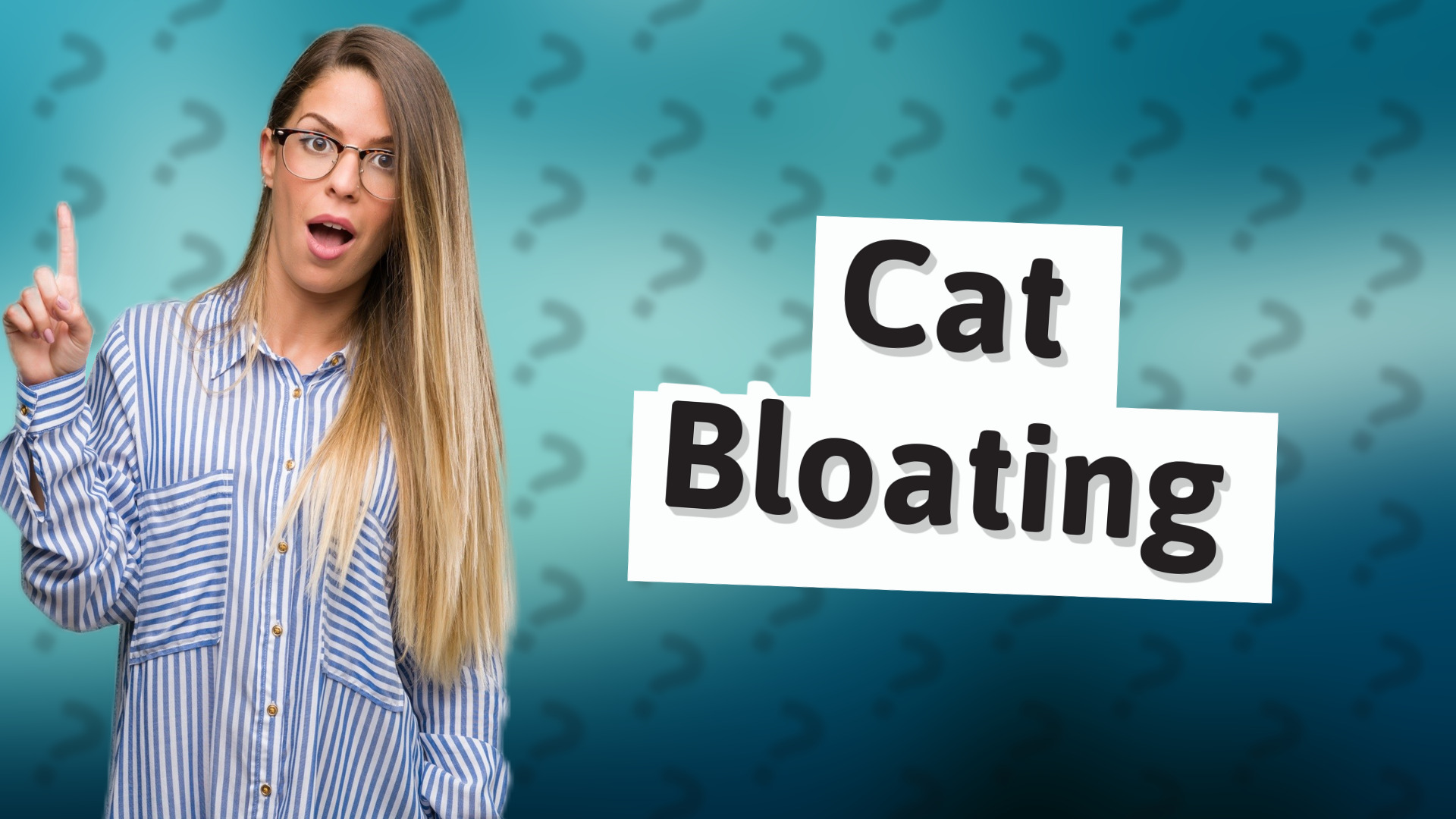 Cat Bloating