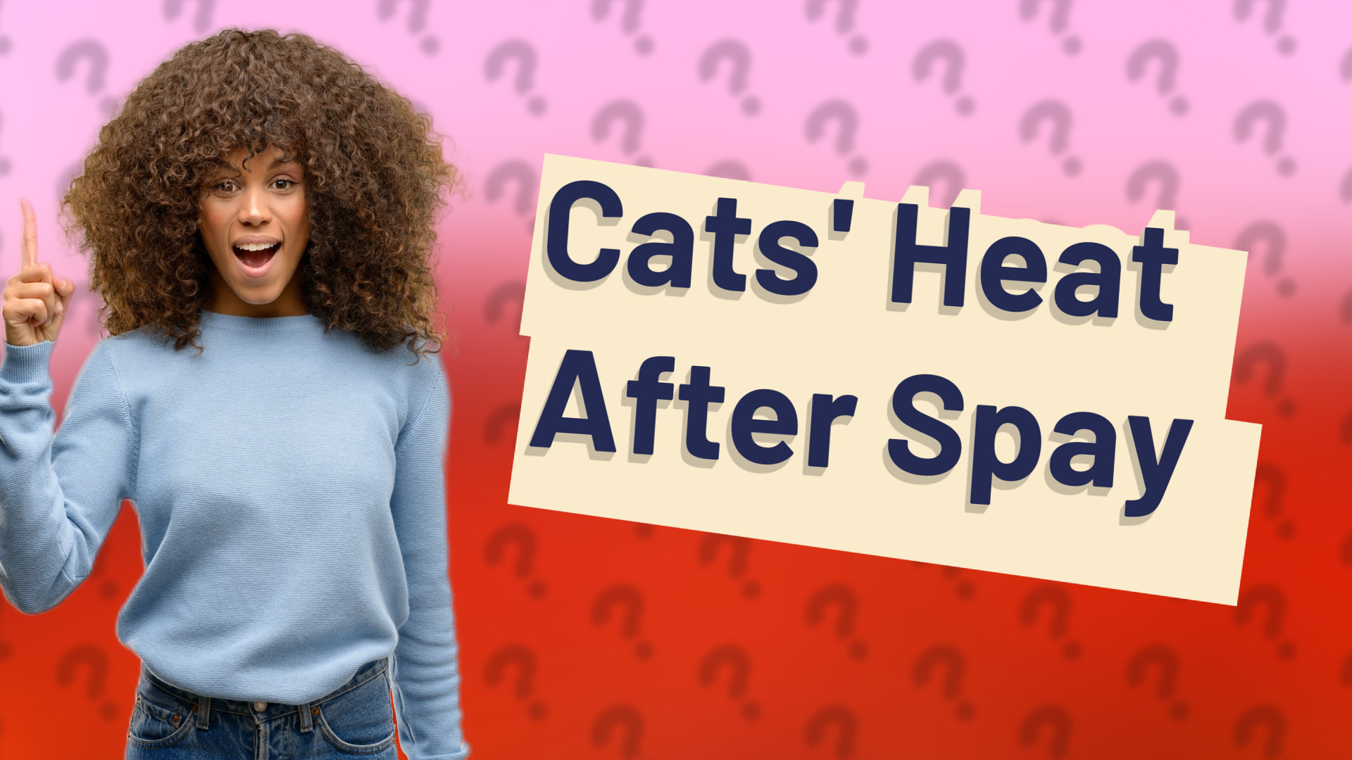 Cats' Heat After Spay