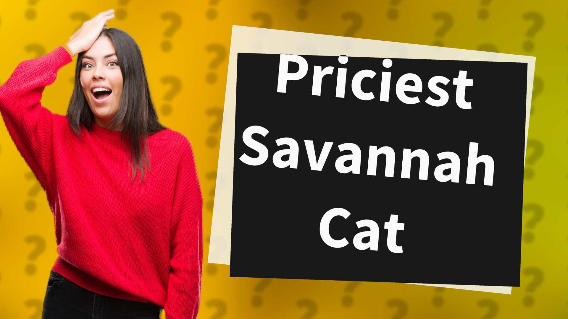 Priciest Savannah Cat