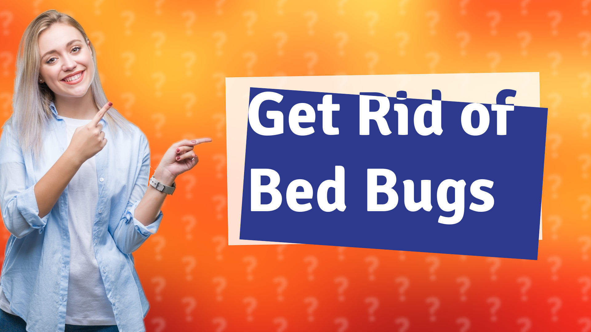 Get Rid of Bed Bugs