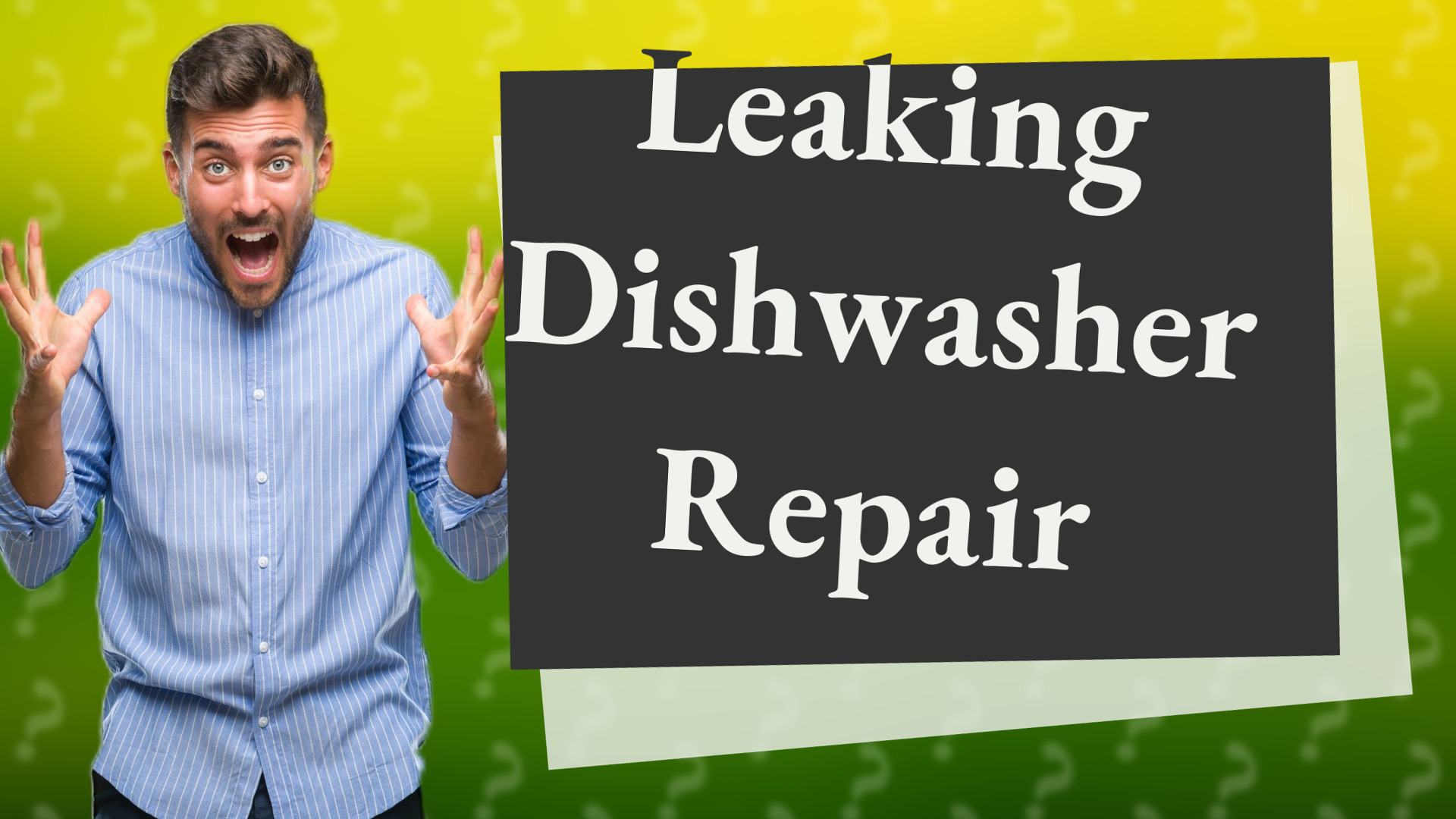 Leaking Dishwasher Repair