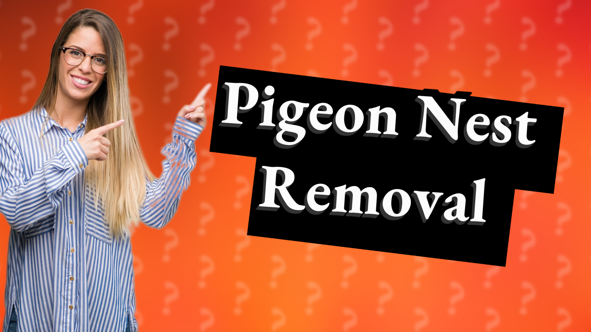 Pigeon Nest Removal
