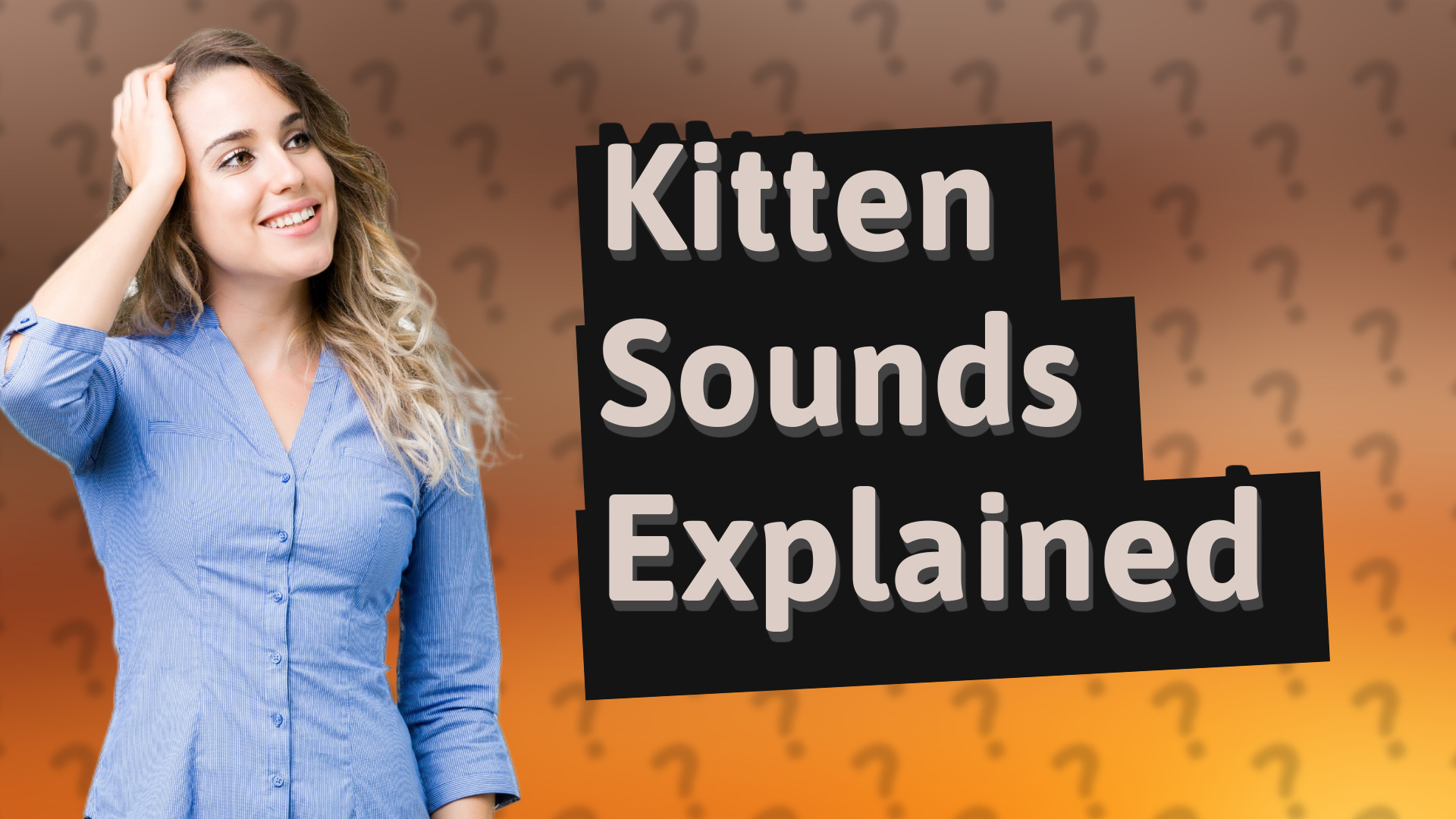 Kitten Sounds Explained