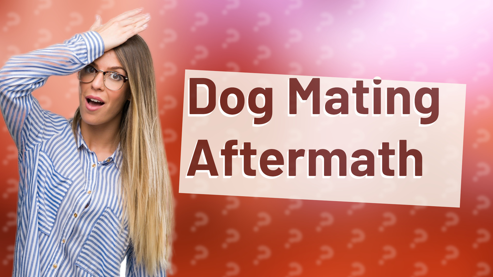 Dog Mating Aftermath