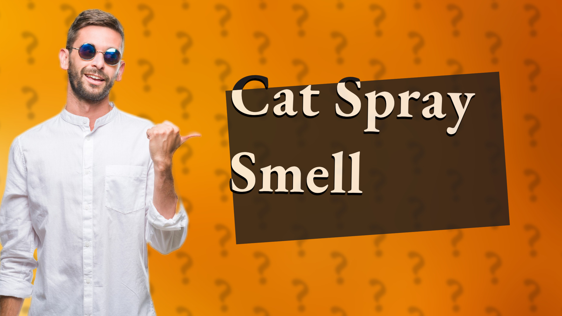 Cat Spray Smell