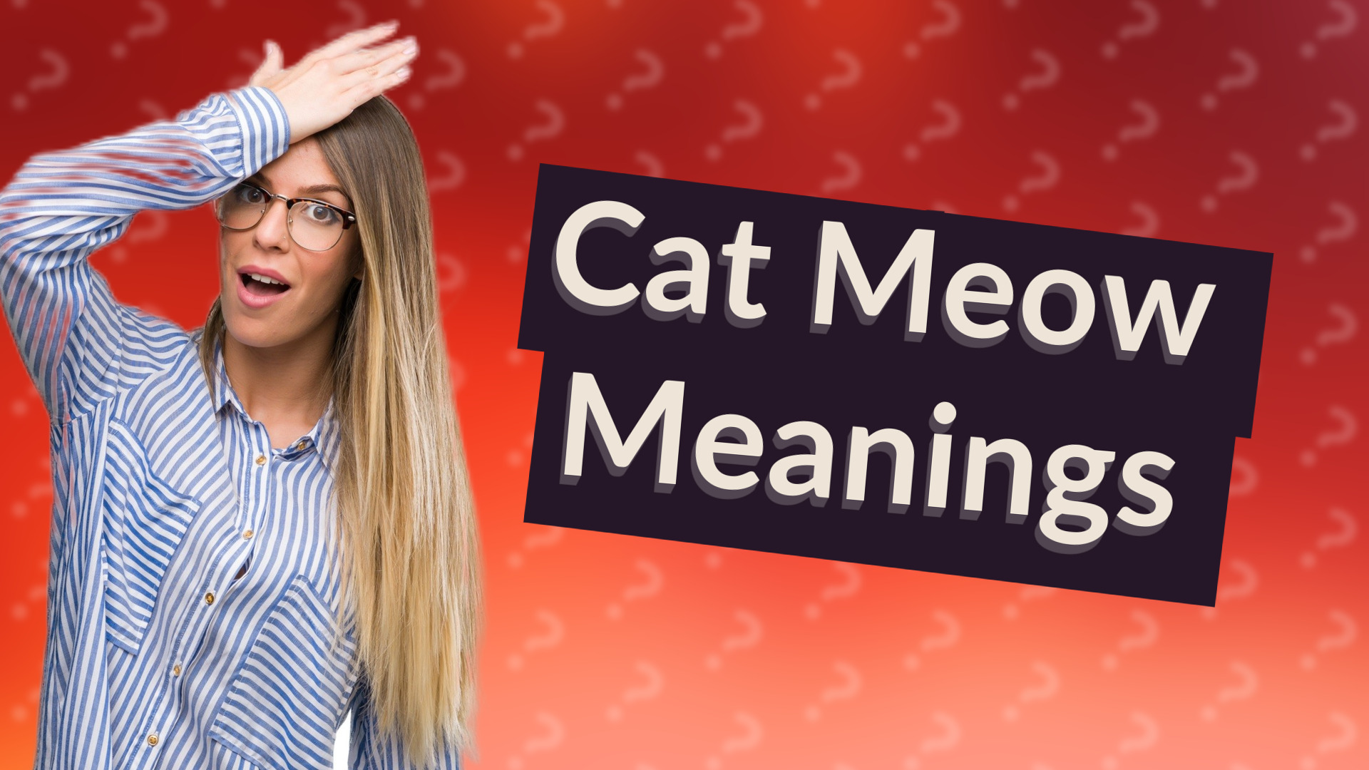 Cat Meow Meanings