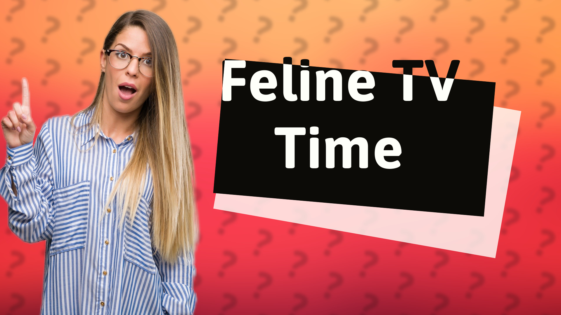 Feline TV Time