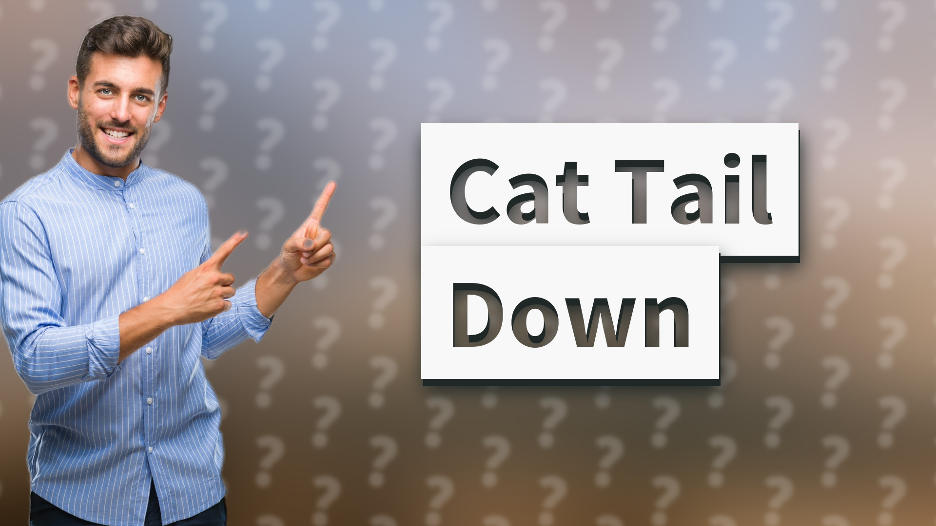 Cat Tail Down