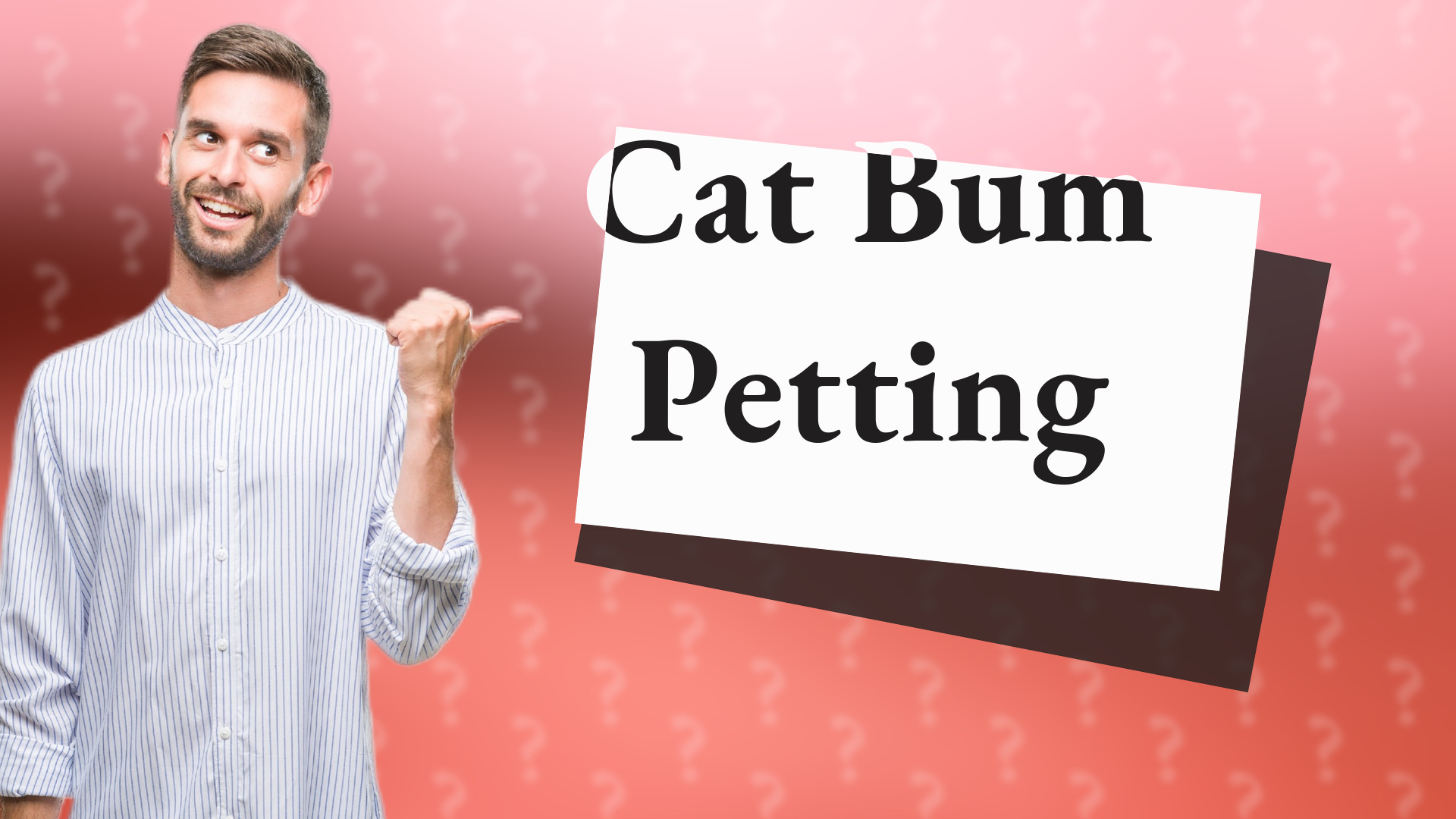 Cat Bum Petting