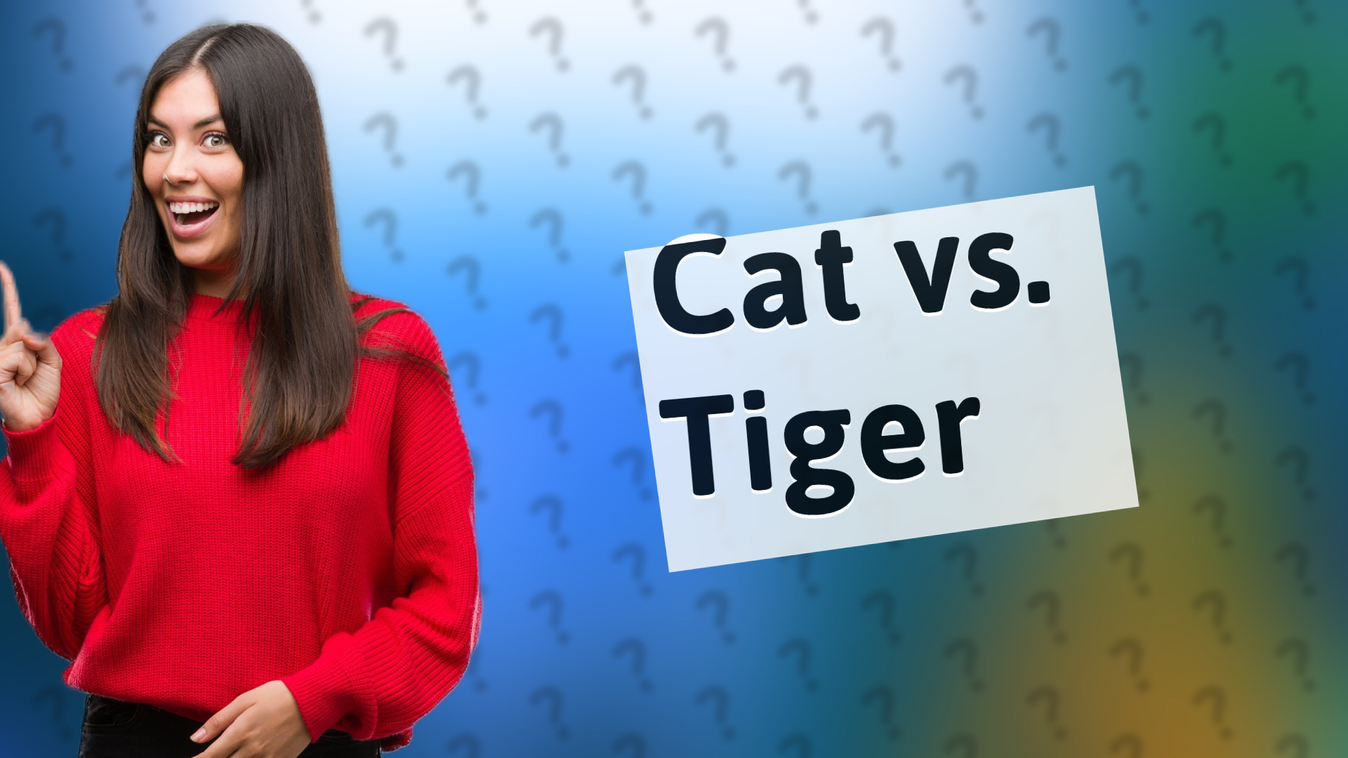 Cat vs. Tiger
