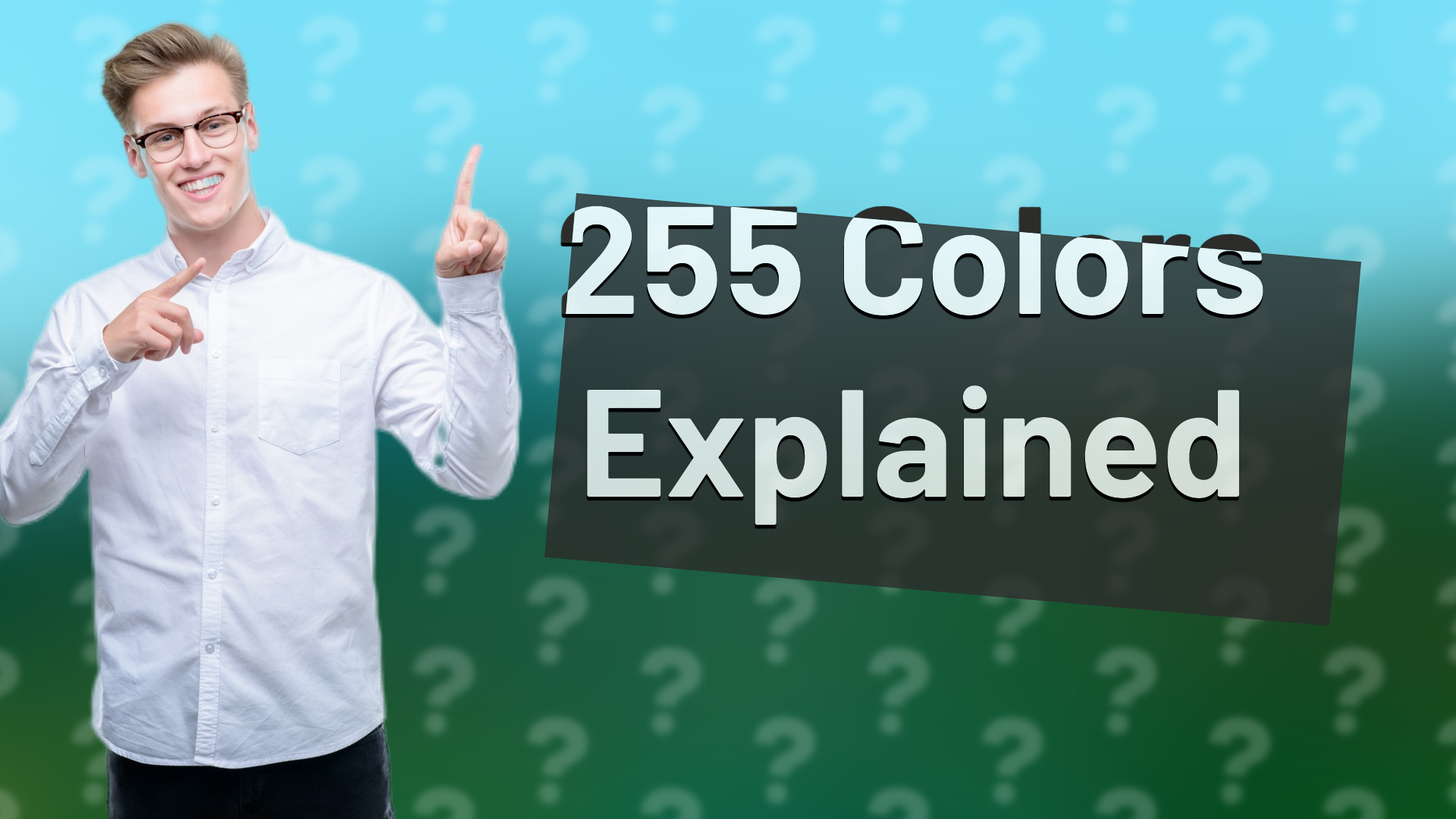 255 Colors Explained