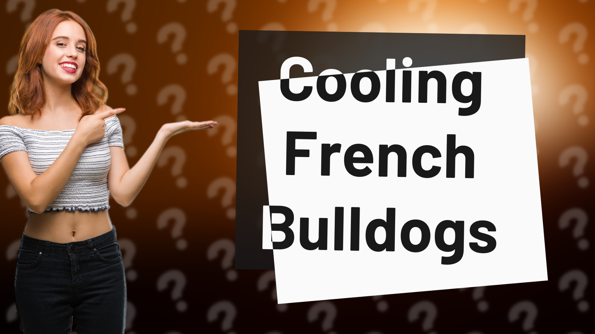 Cooling French Bulldogs