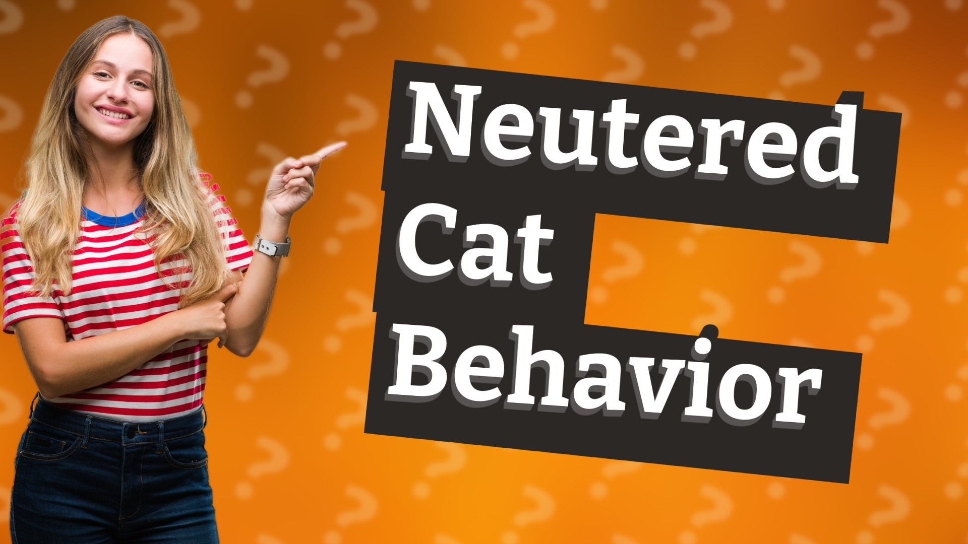 Neutered Cat Behavior