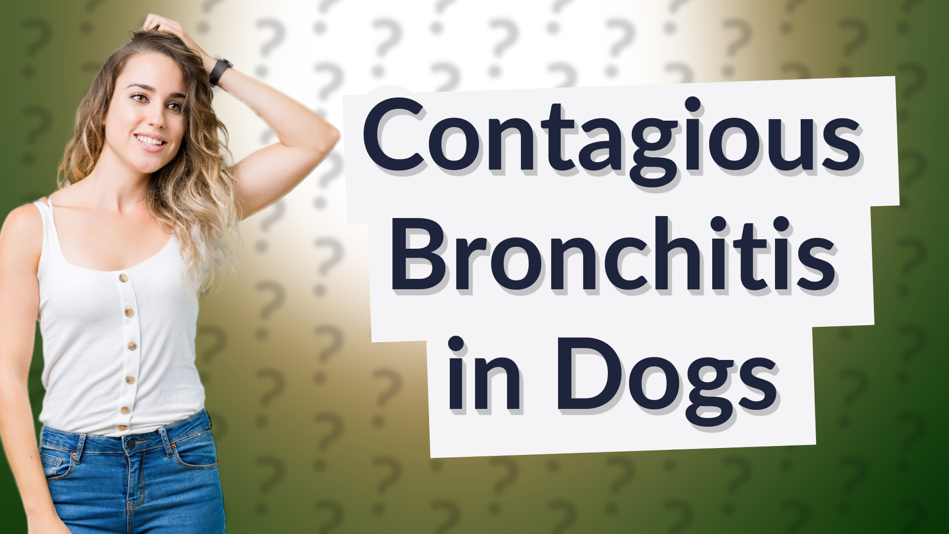 Contagious Bronchitis in Dogs