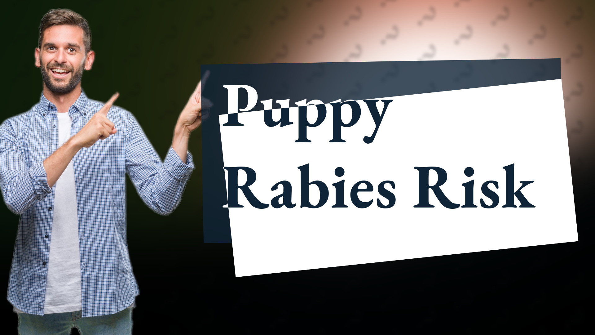 Puppy Rabies Risk