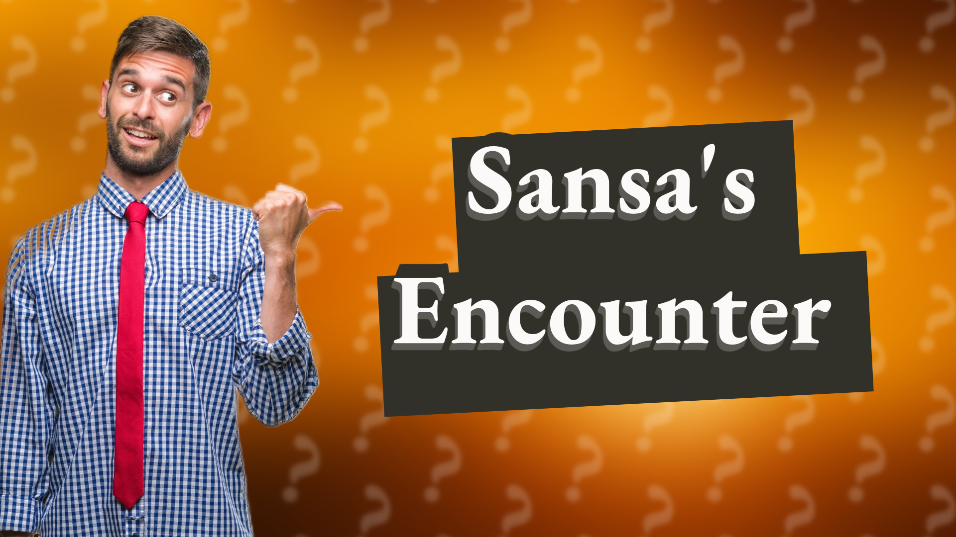 Sansa's Encounter