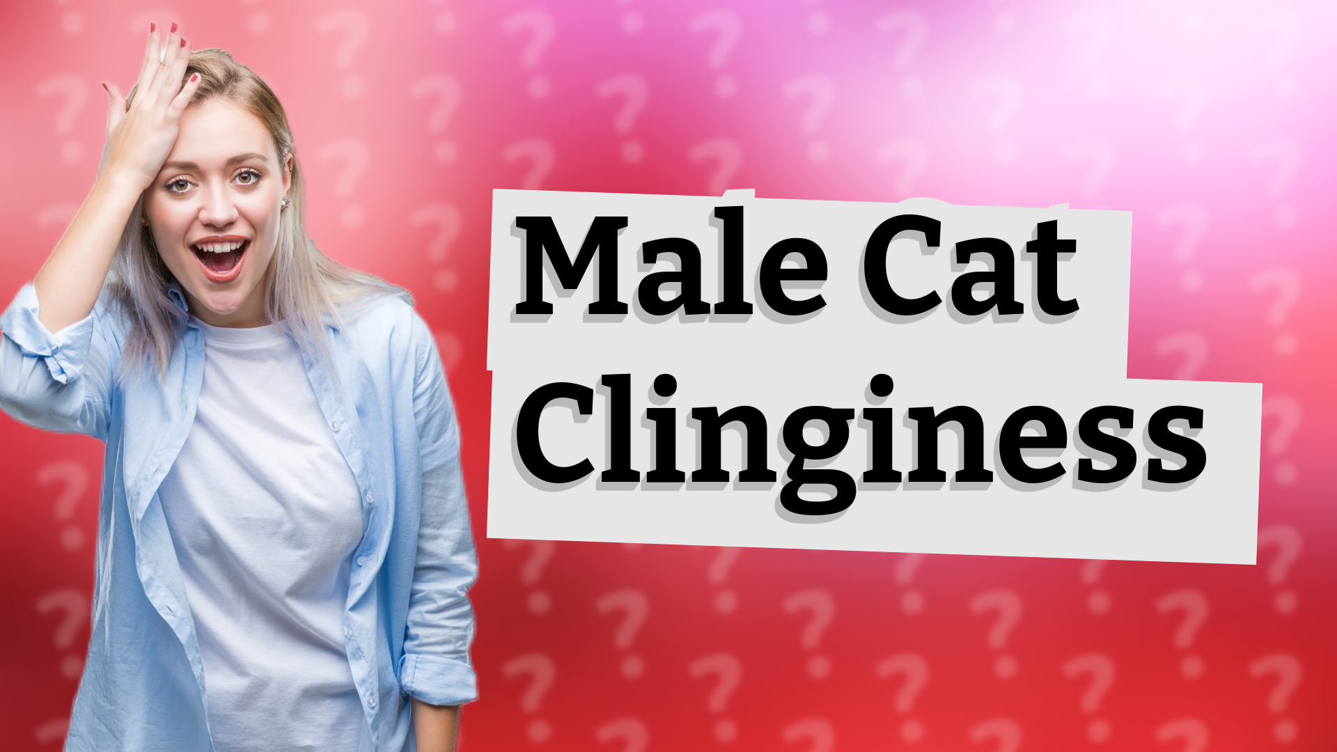 Male Cat Clinginess