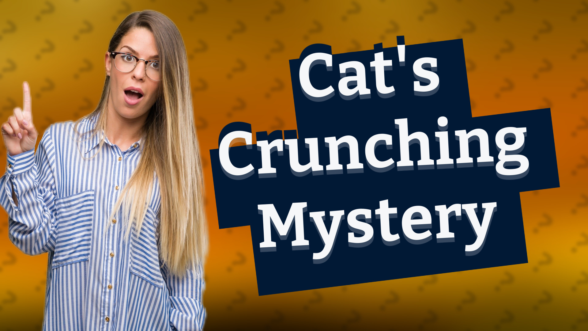Cat's Crunching Mystery