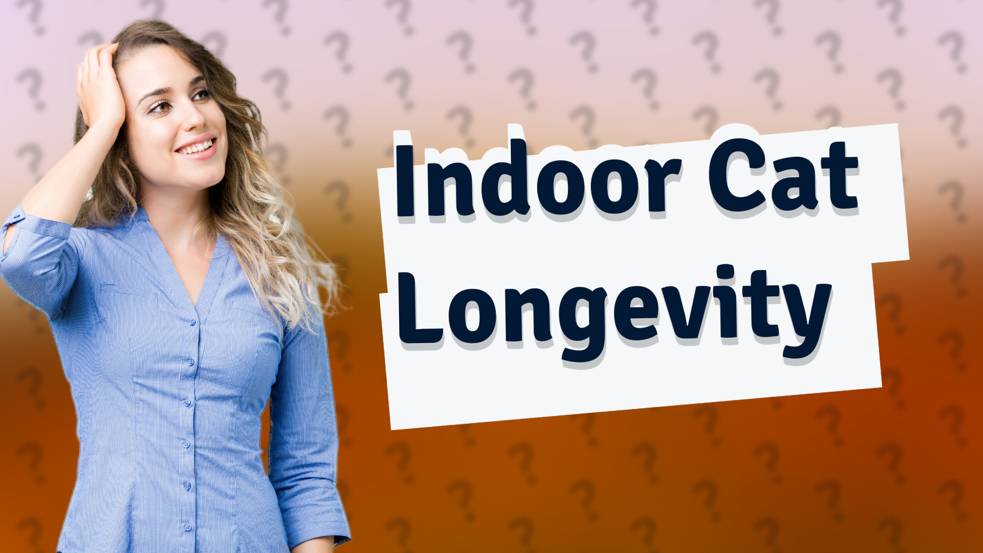 Indoor Cat Longevity