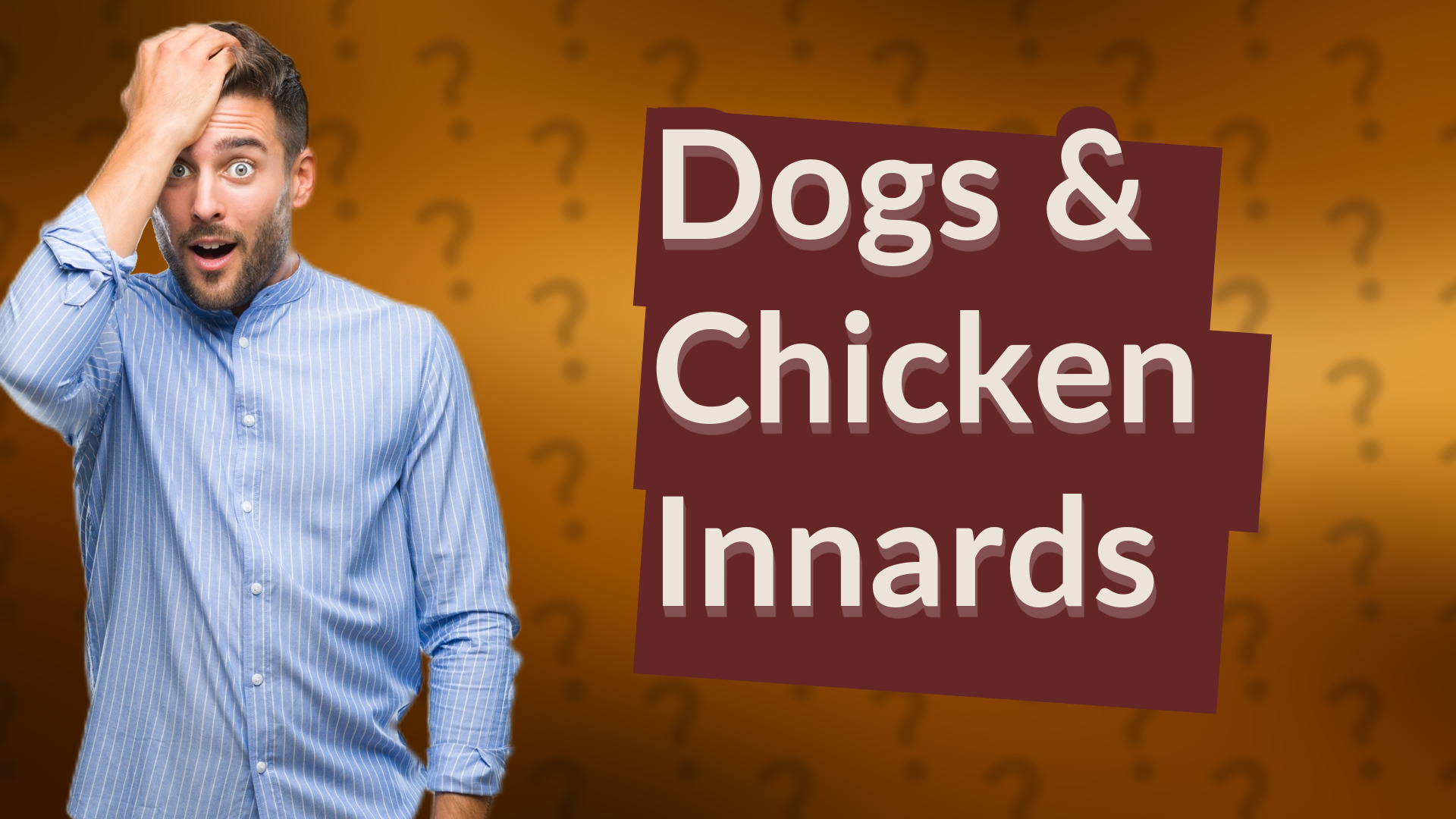 Dogs & Chicken Innards