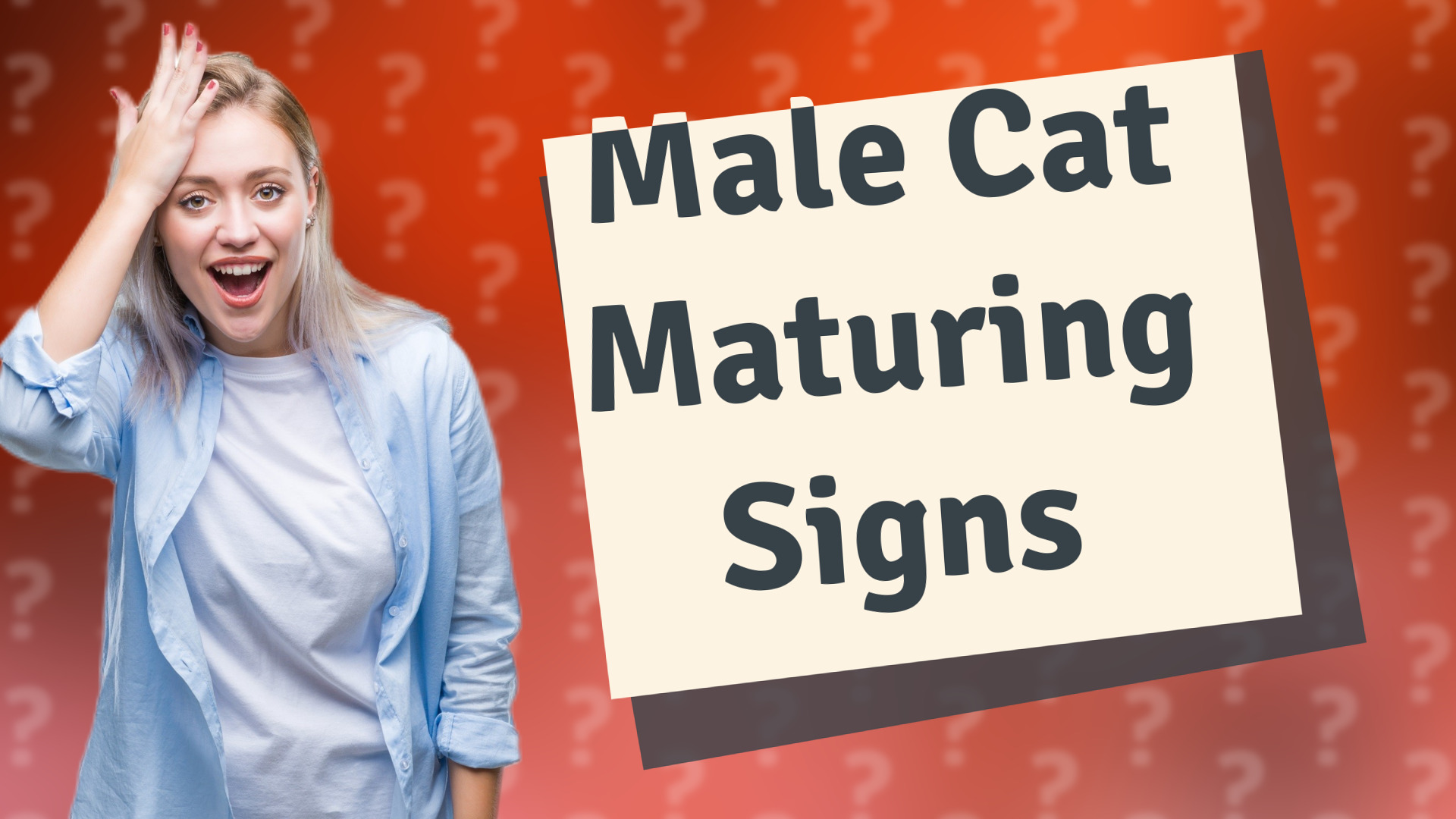 Male Cat Maturing Signs