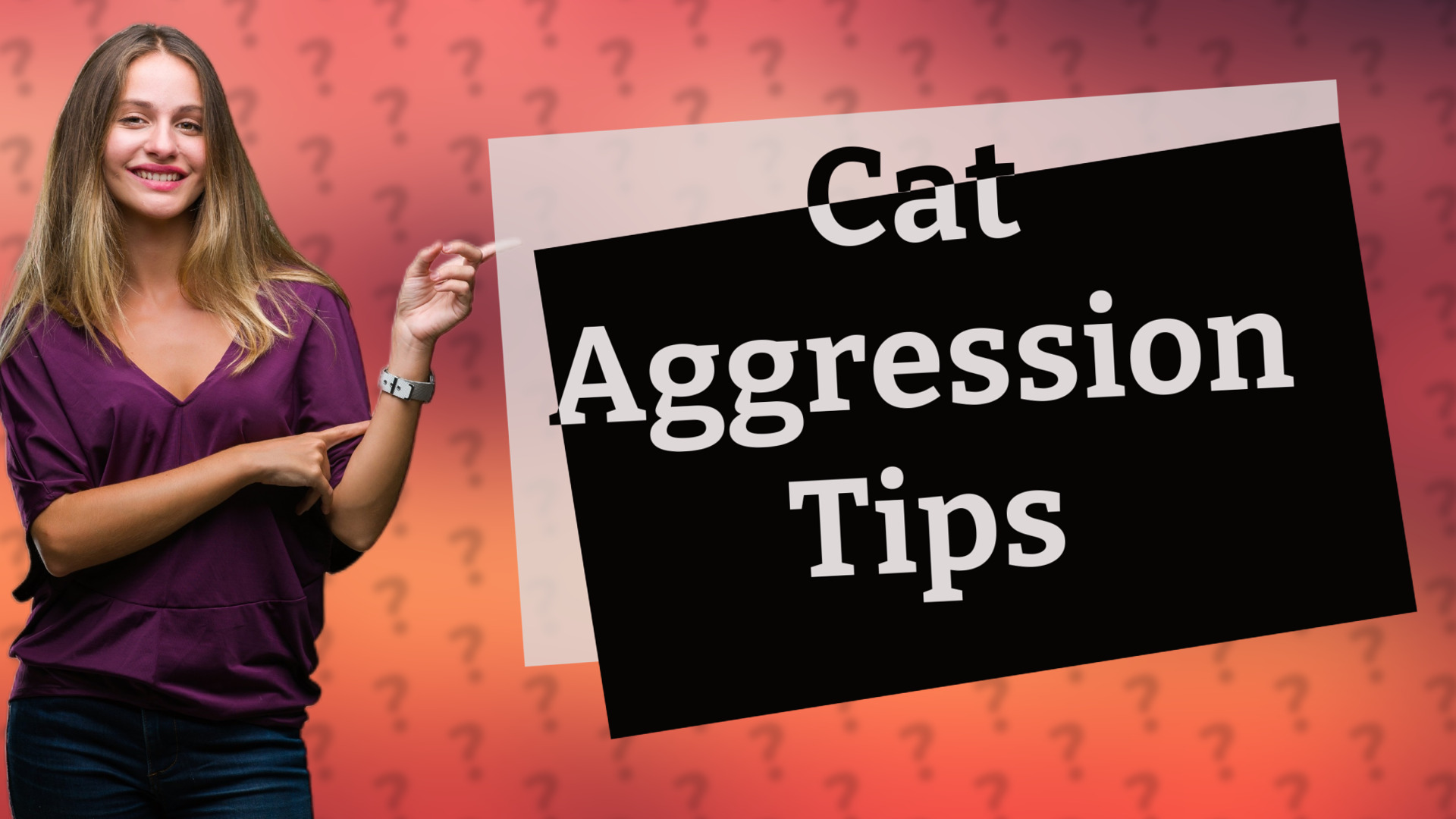 Cat Aggression Tips