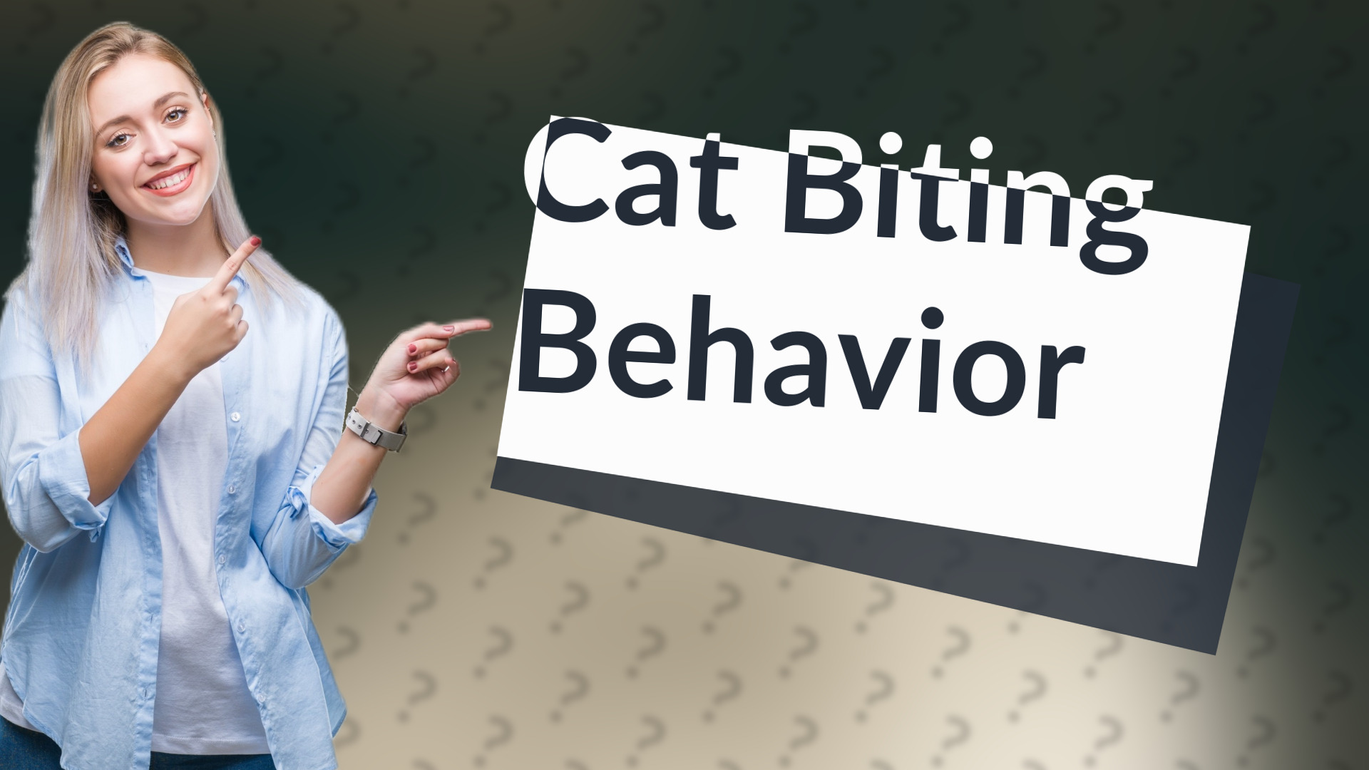 Cat Biting Behavior