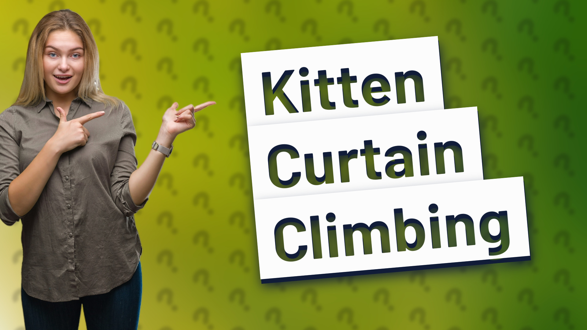 Kitten Curtain Climbing