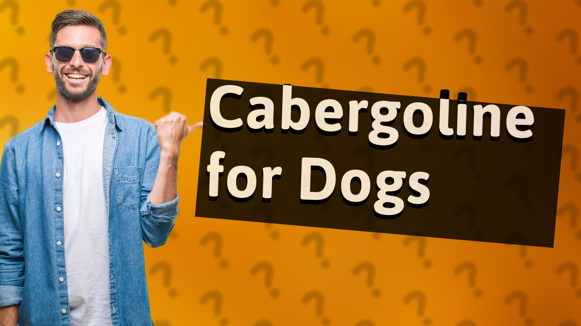 Cabergoline for Dogs