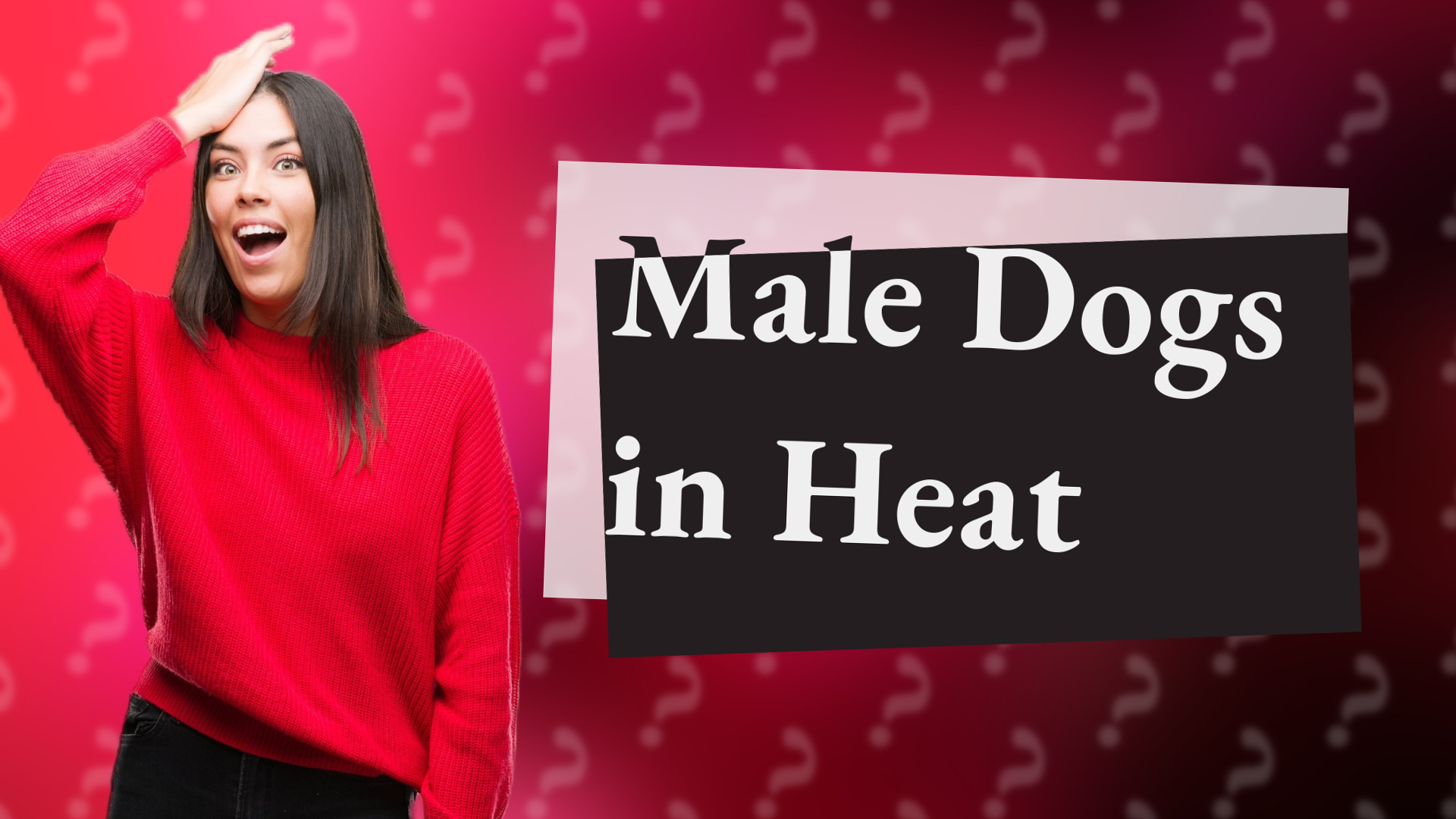 Male Dogs in Heat