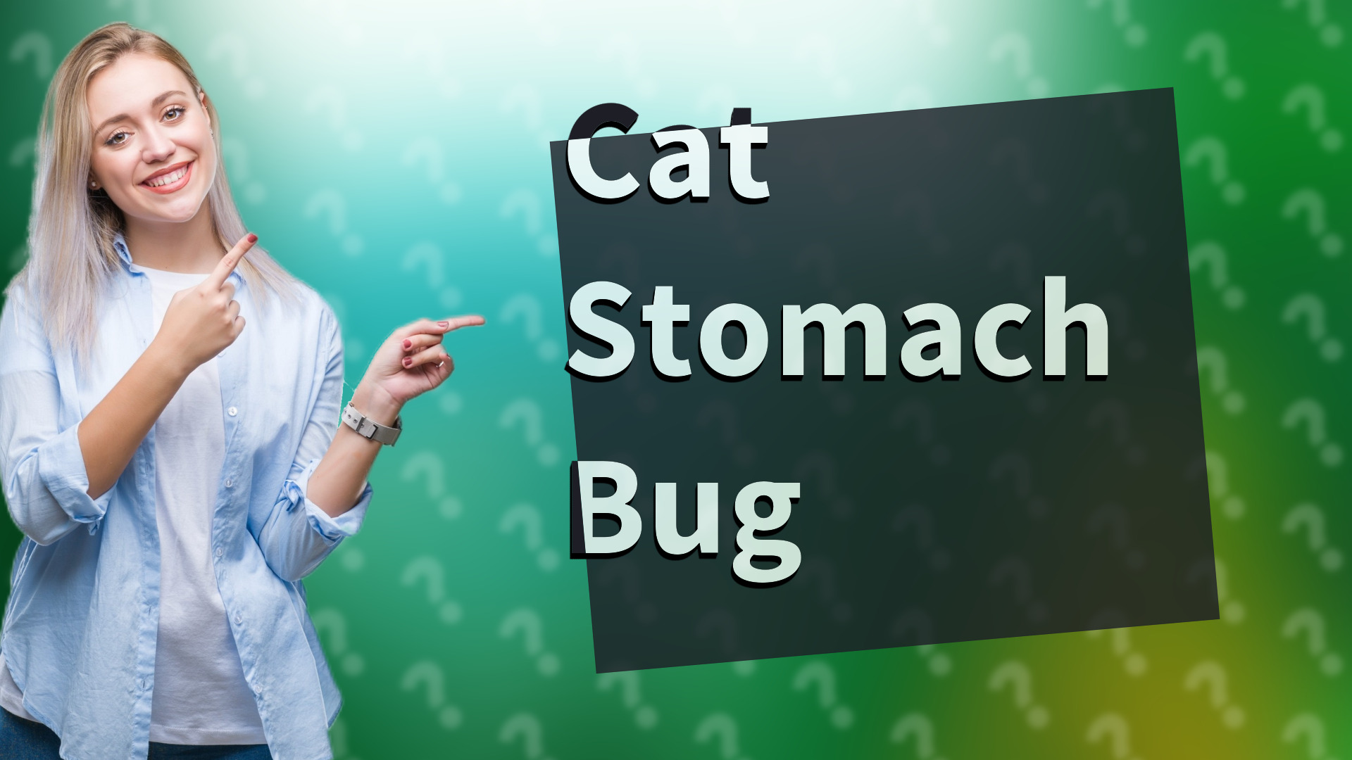 Cat Stomach Bug
