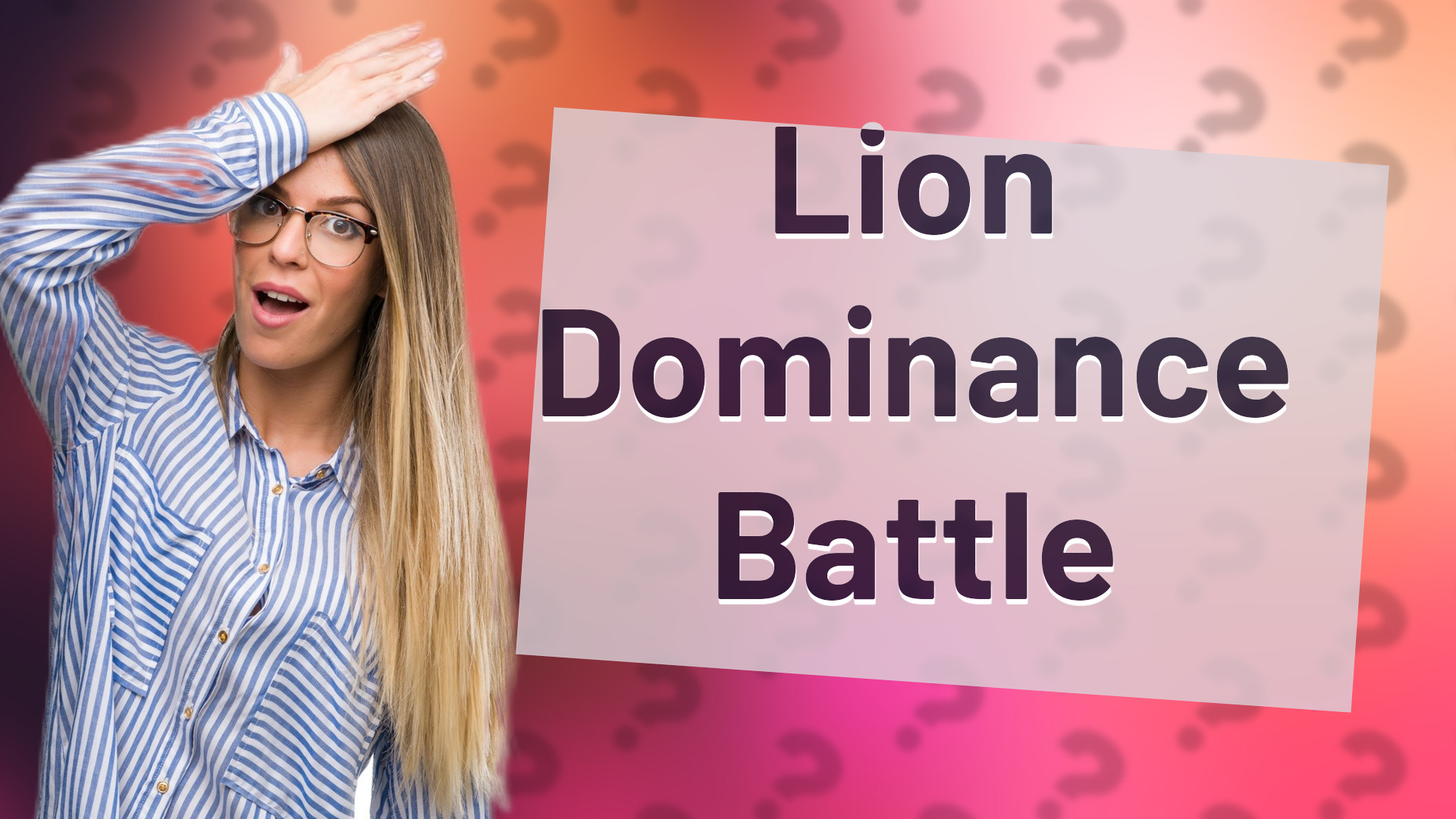 Lion Dominance Battle