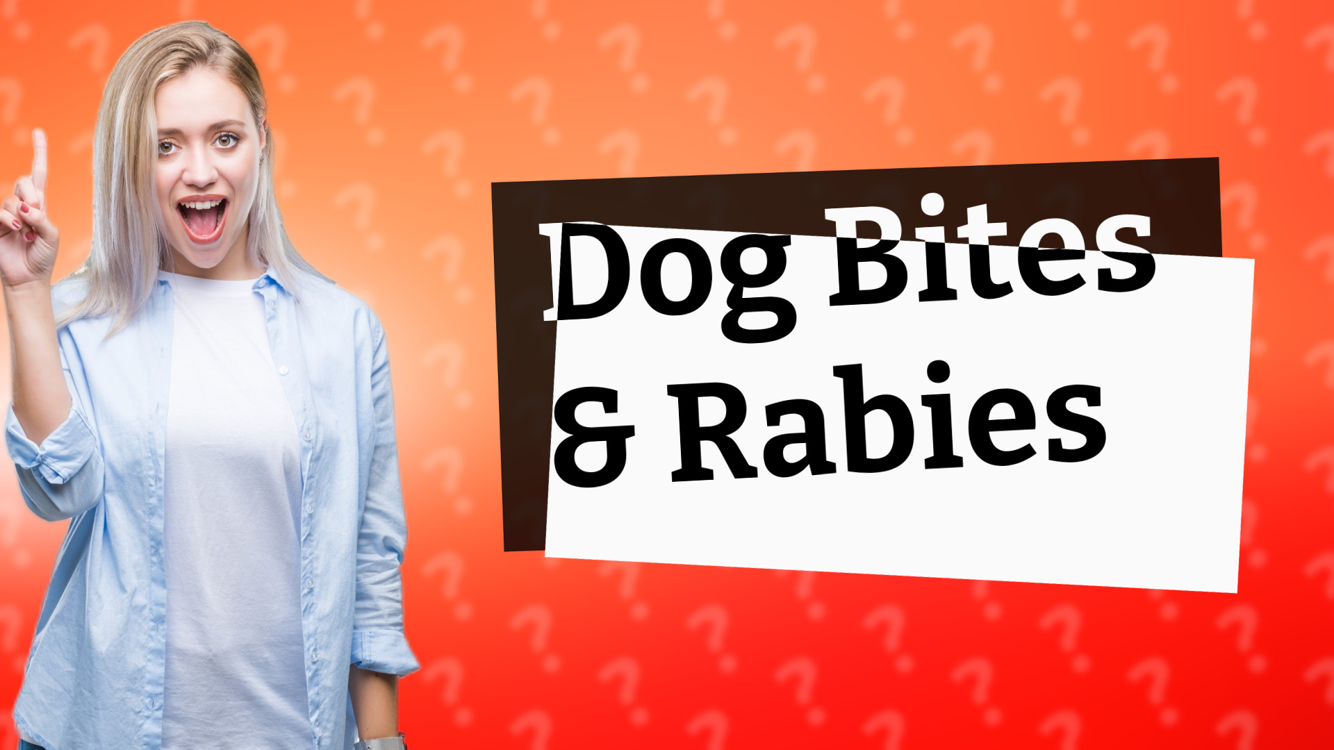 Dog Bites & Rabies