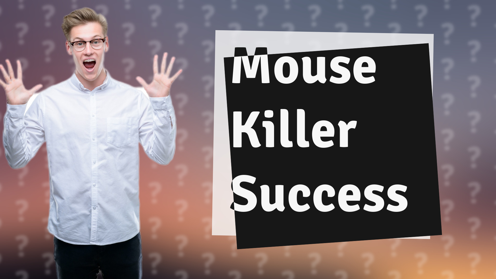 Mouse Killer Success