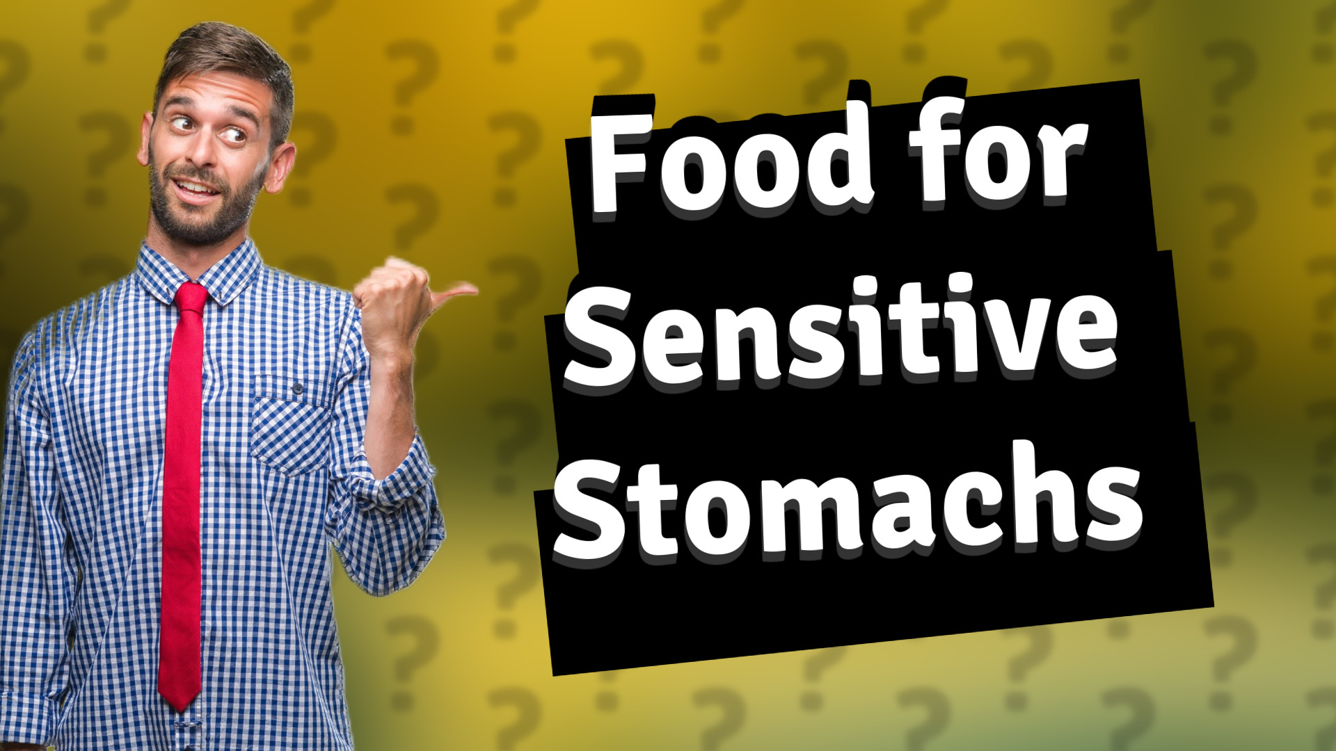Food for Sensitive Stomachs