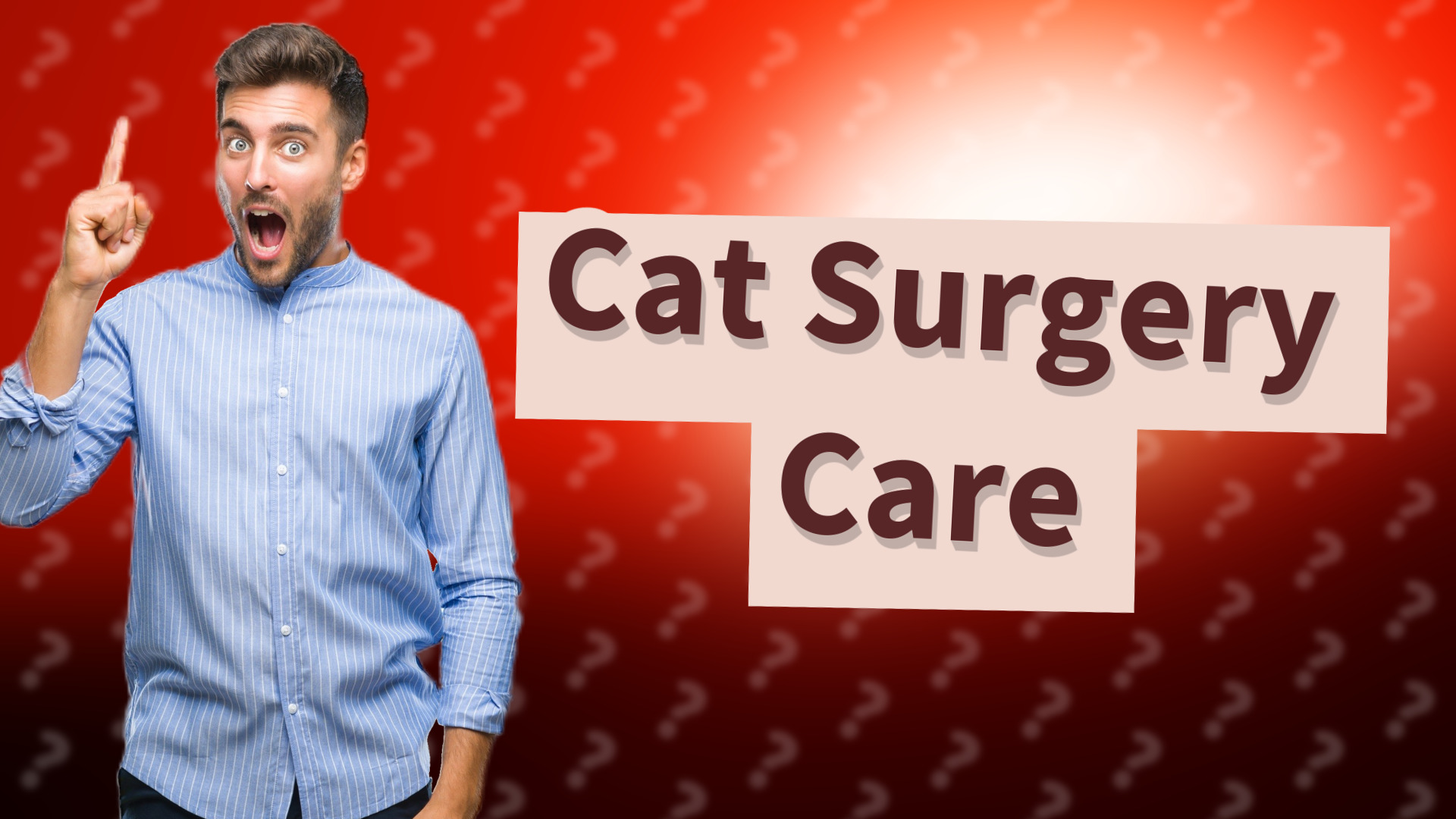 Cat Surgery Care