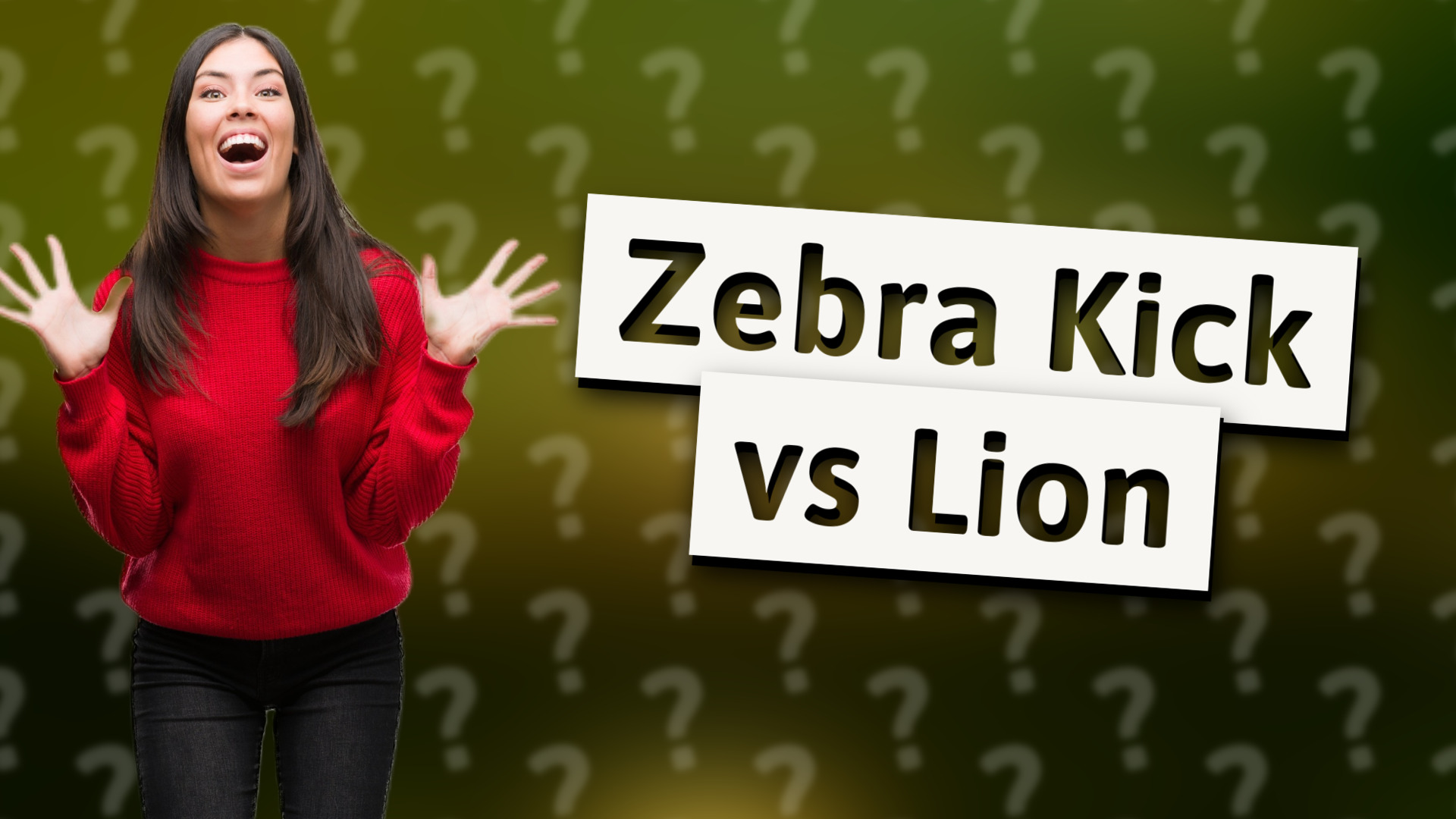 Zebra Kick vs Lion